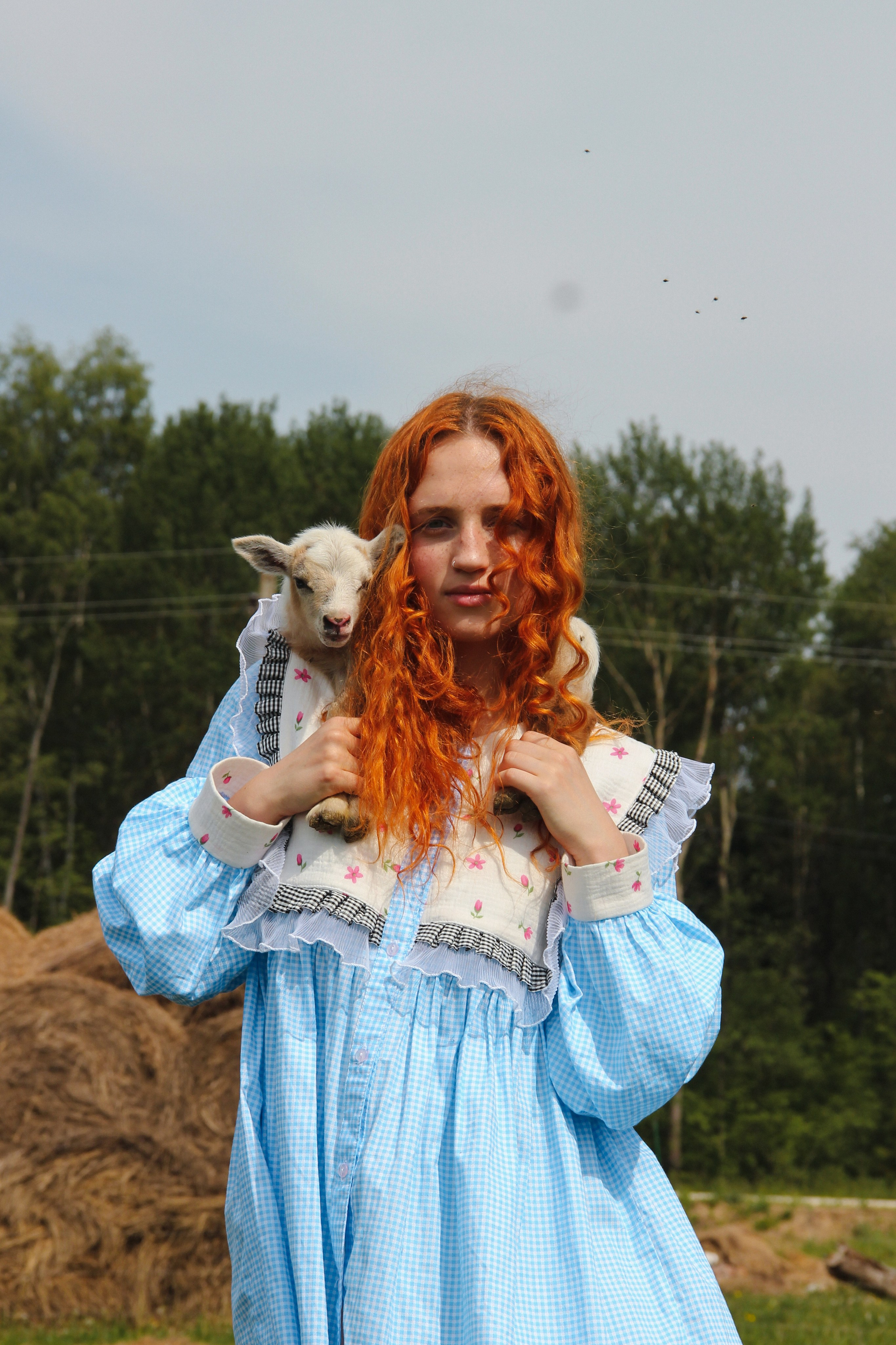 Farm photos. Главная