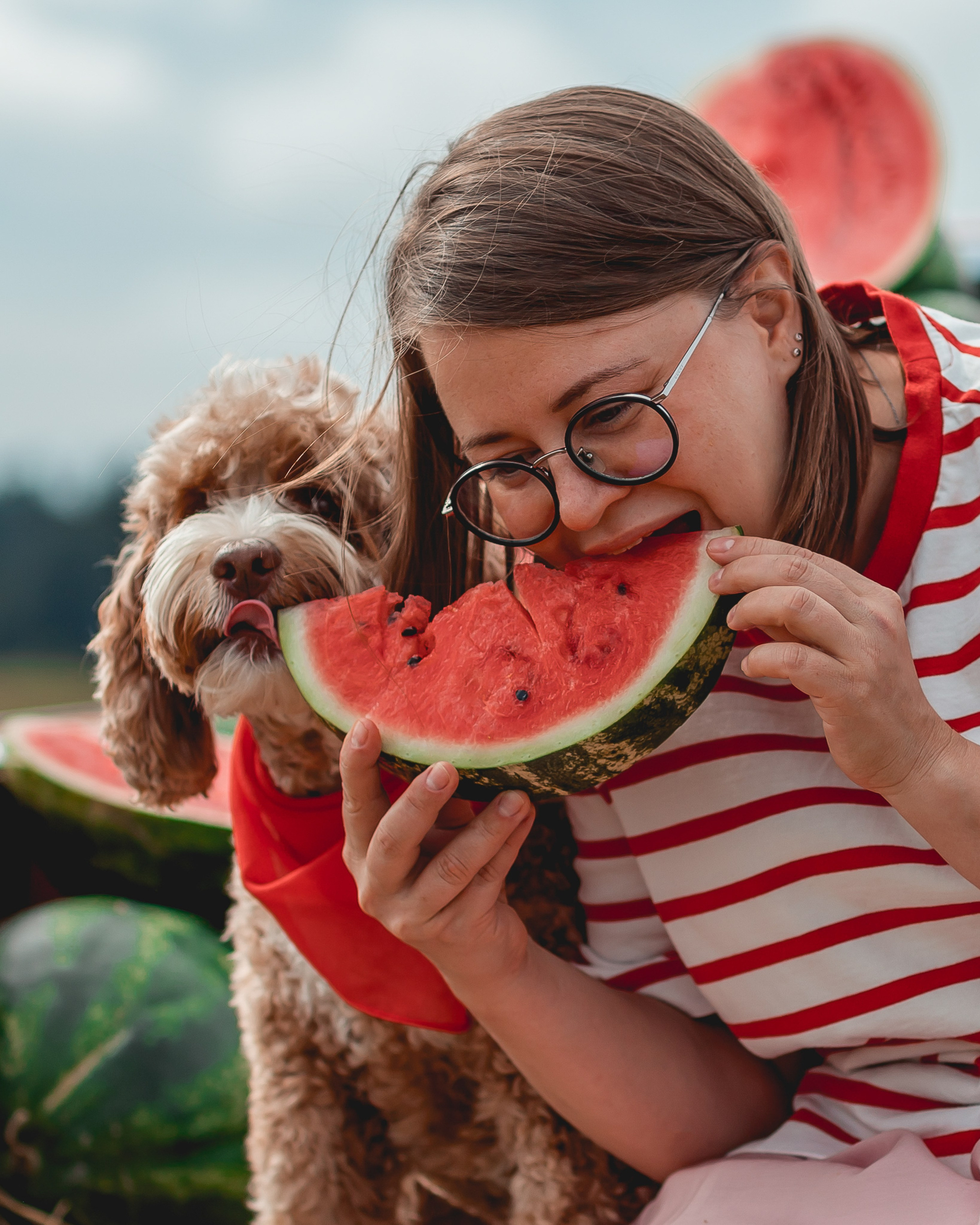 Алёна и Пенни в поле с арбузами. Семейный фотограф анималист Мария Крючкова