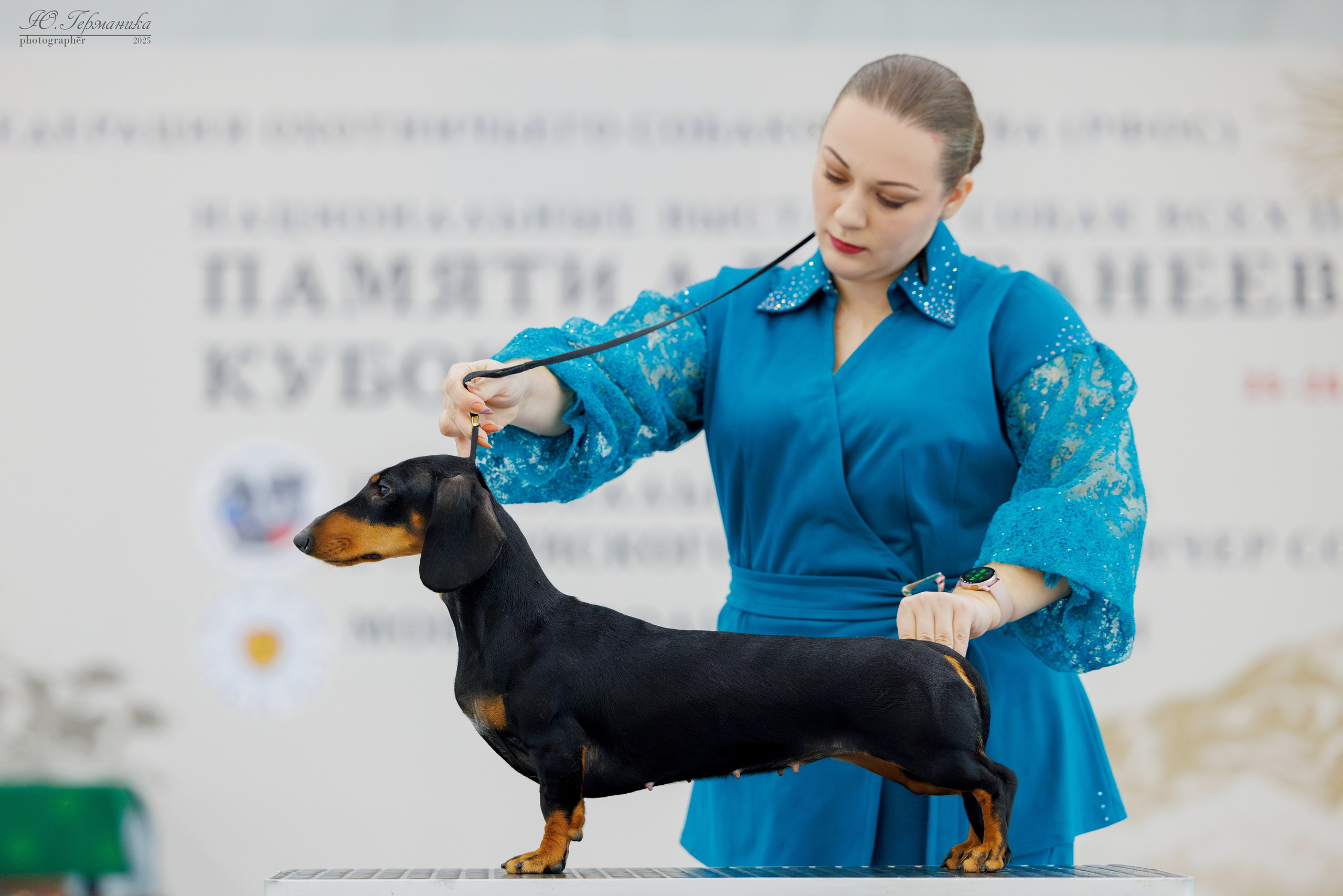 Сабанеевка Казань 25-26.01.2025. Фотограф-анималист Юлия Германика