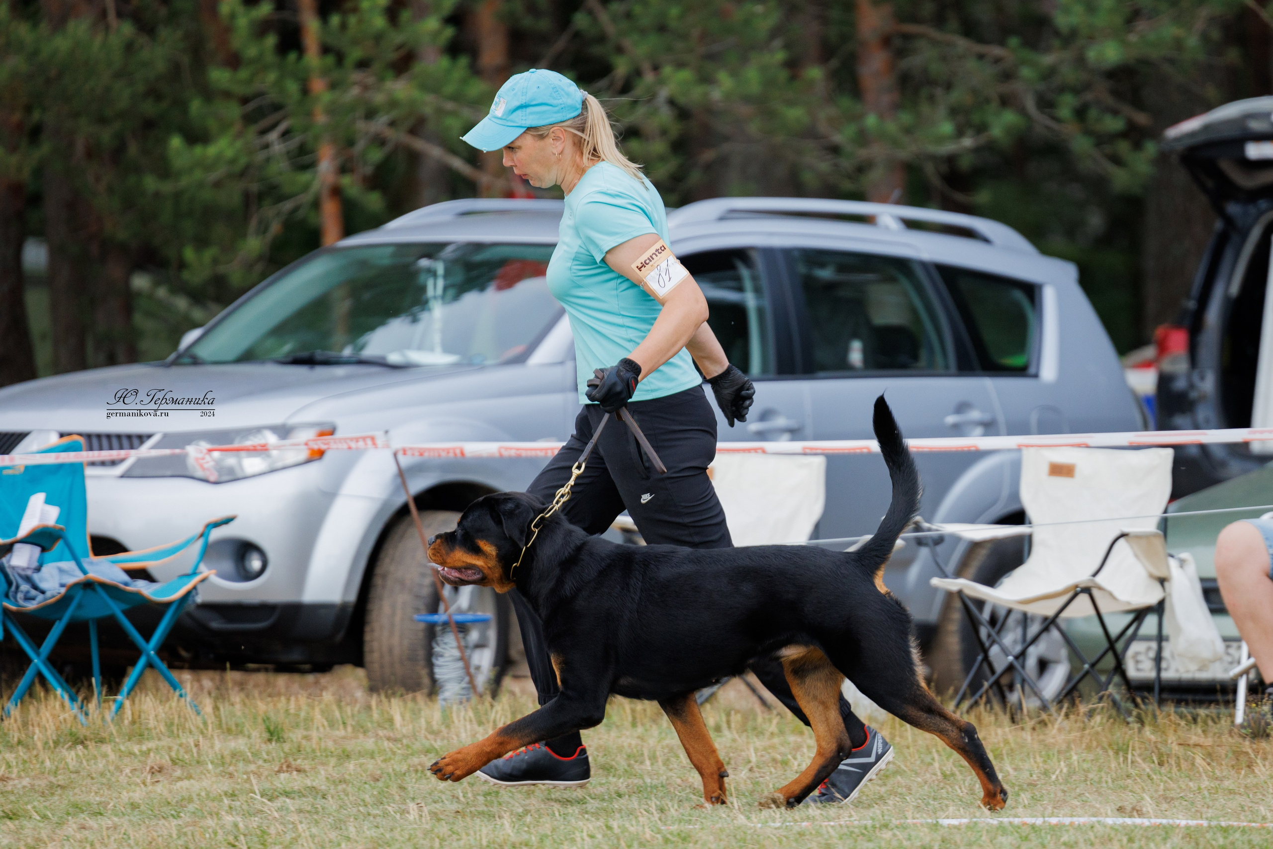 ПК и КЧК ротвейлеры Тверь 6-7.07.2024. Фотограф-анималист Юлия Германика