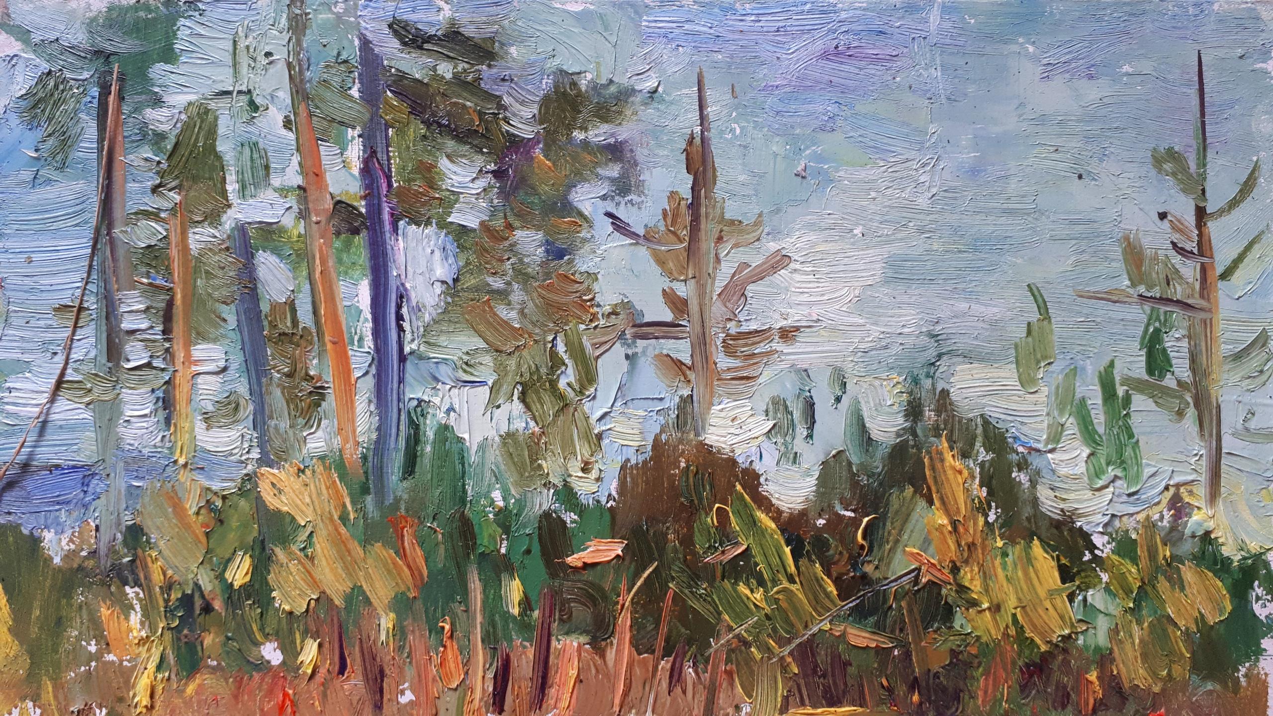 Сибирь, Байкал. Художник и гид по Камчатке Евгений Чайкин