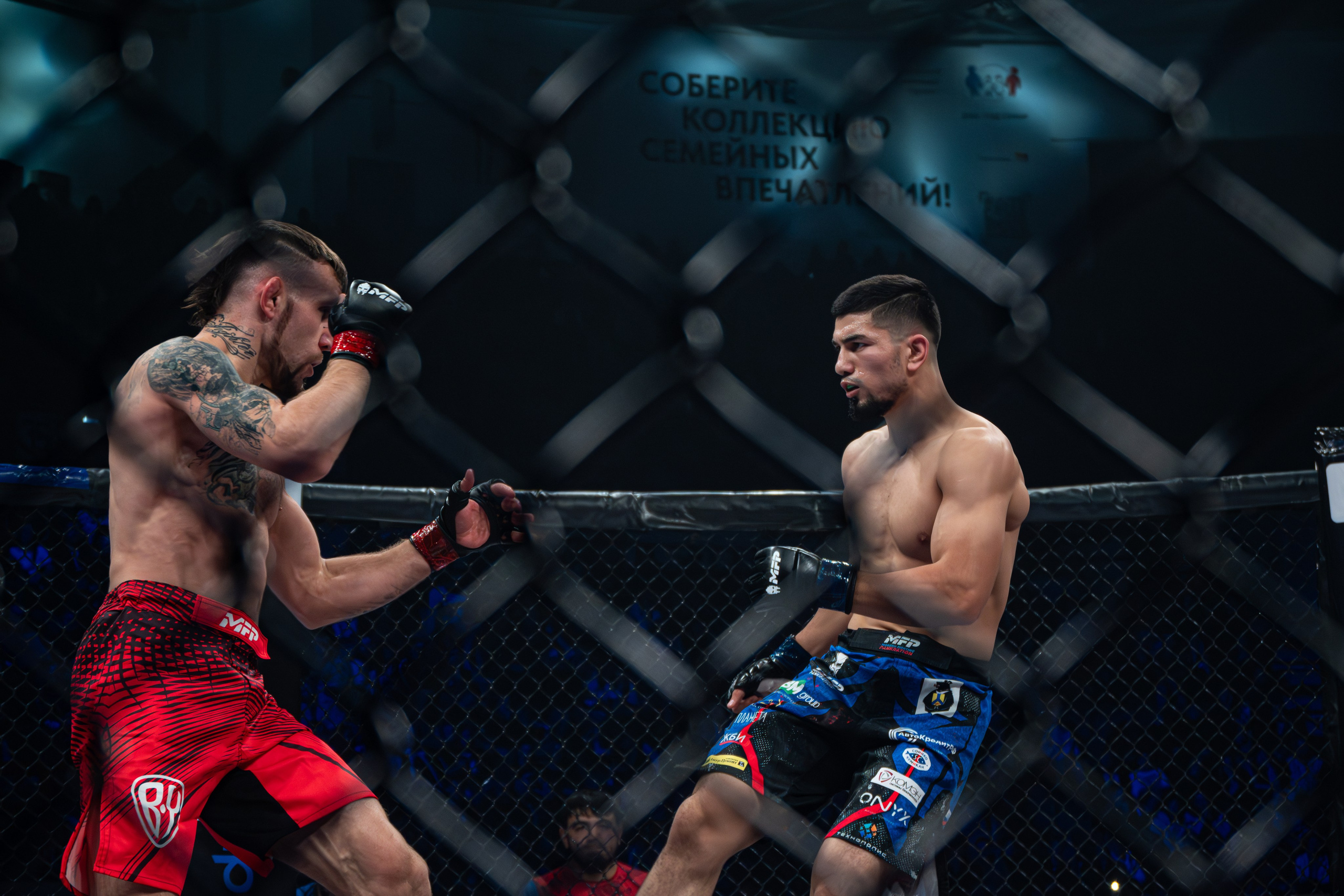 ПАНКРАТИОН. Репортажный фотограф Владислав Остерман