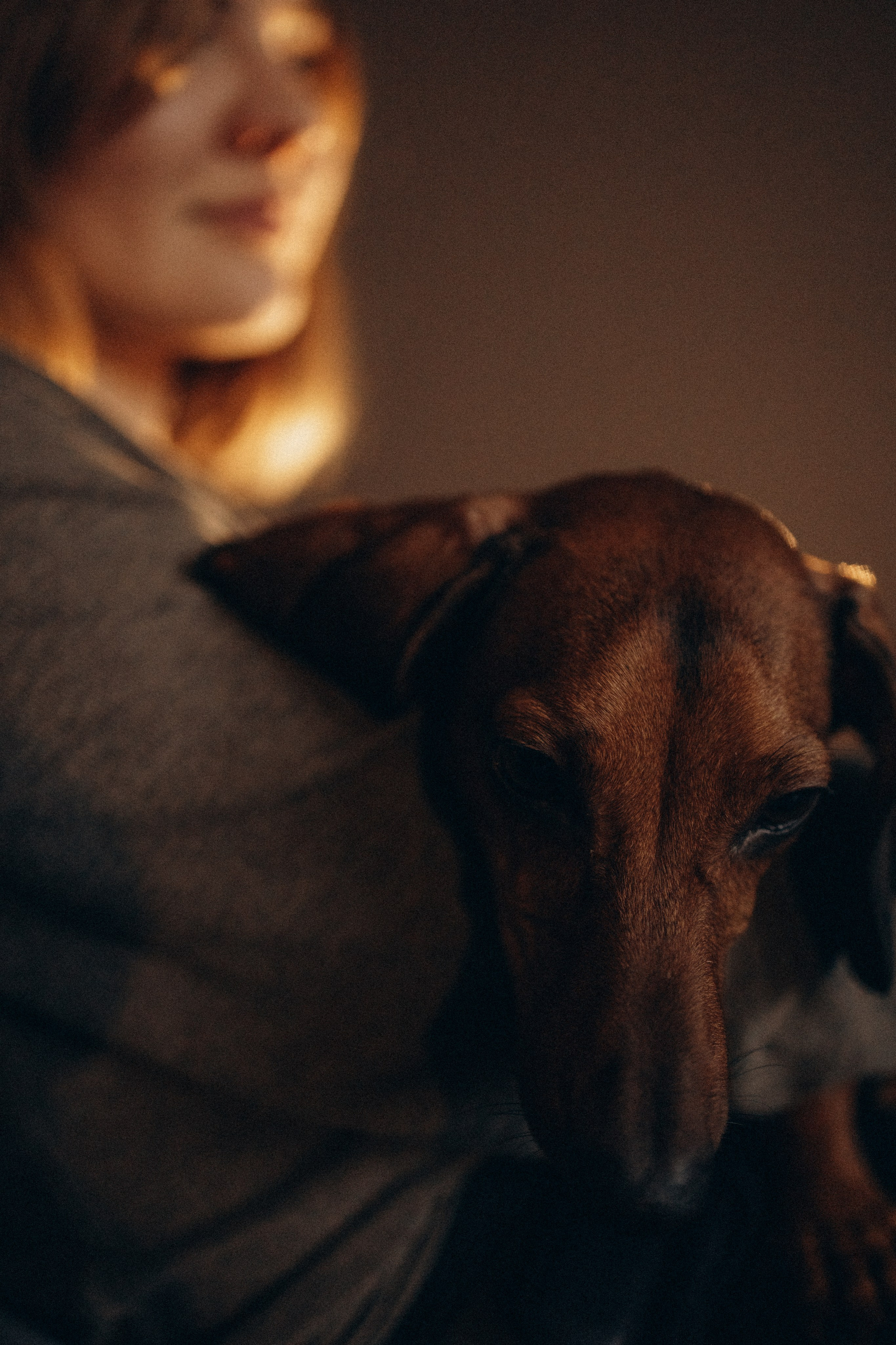 Маша и ее семья. Фотораф — анималист Мария Шистка