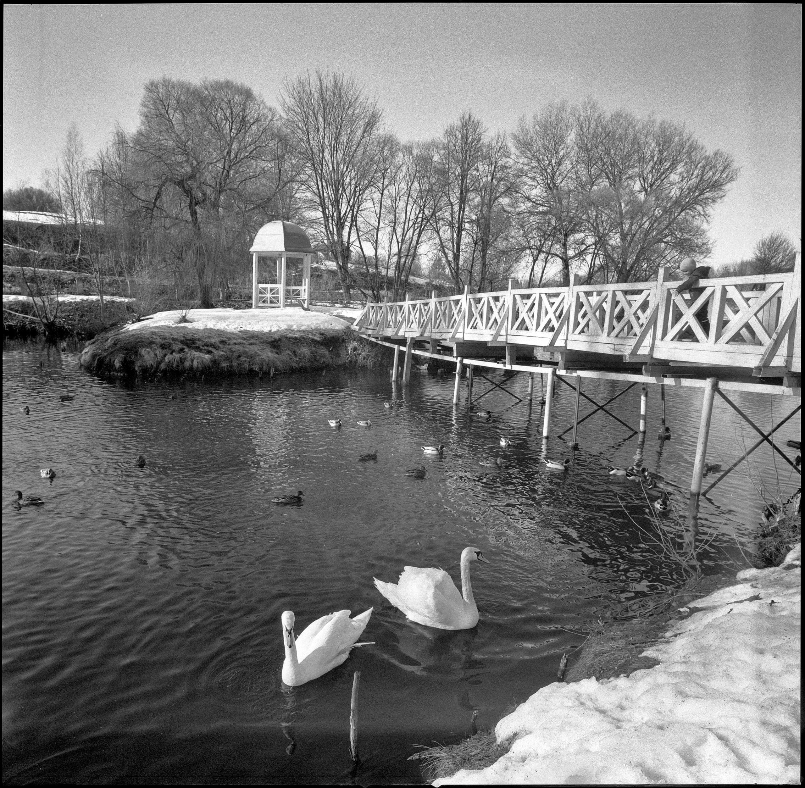 12 кадров roll film 1