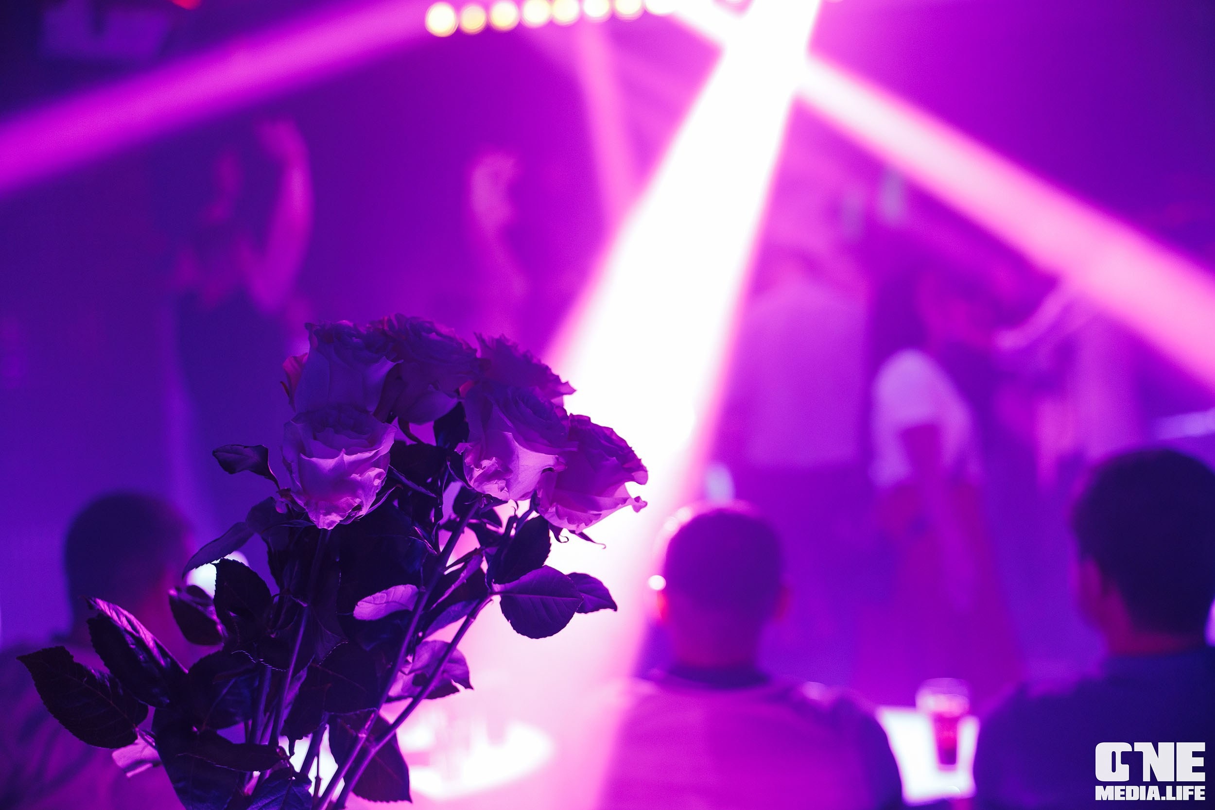 Фоторепортаж из караоке-клуба Эйфория. One Media Life: фоторепортажи, фотоотчеты с мероприятий и заведений