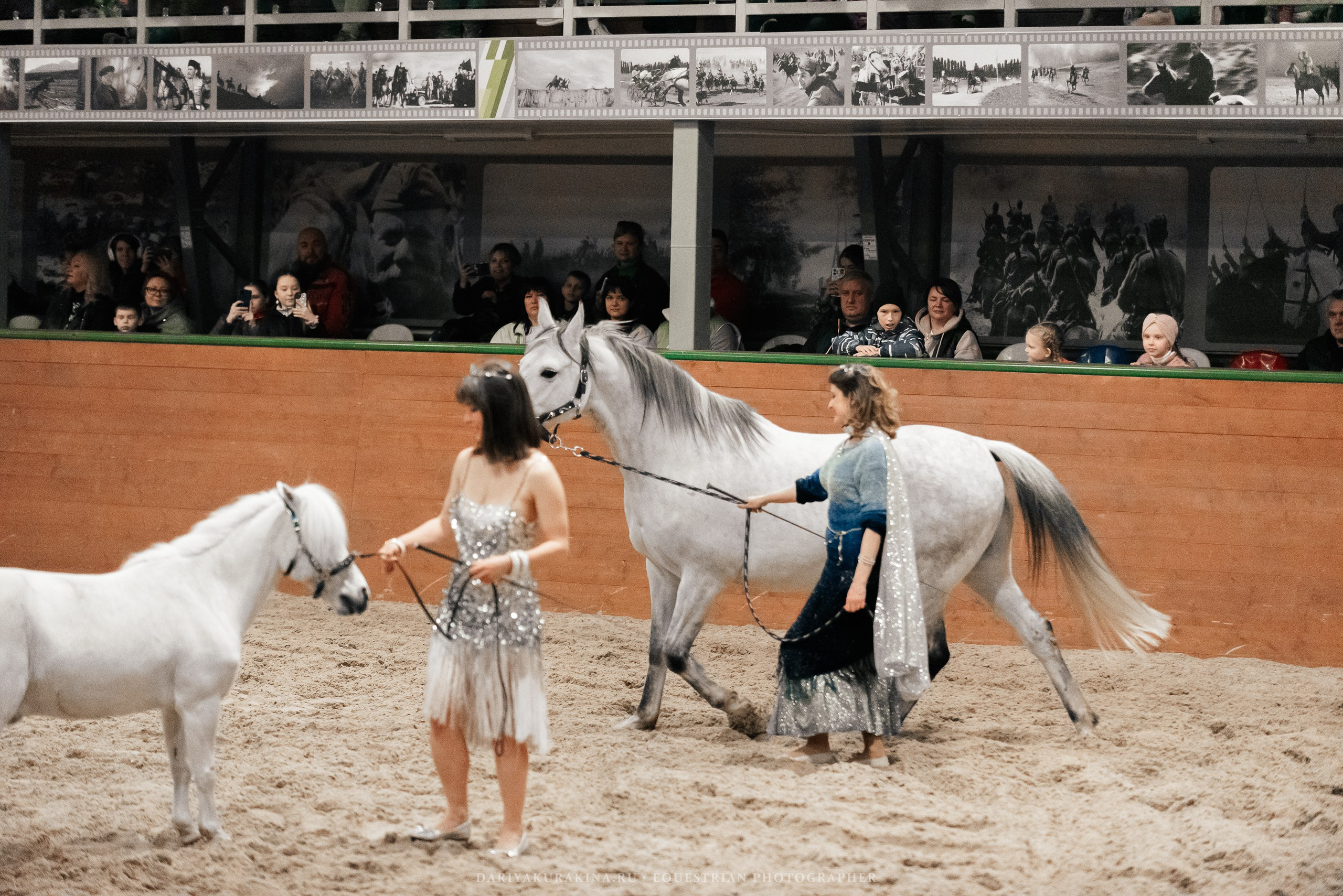 Конное представление «Дыхание Звёзд». Конный фотограф Куракина Дарья • Фотосессии с лошадьми