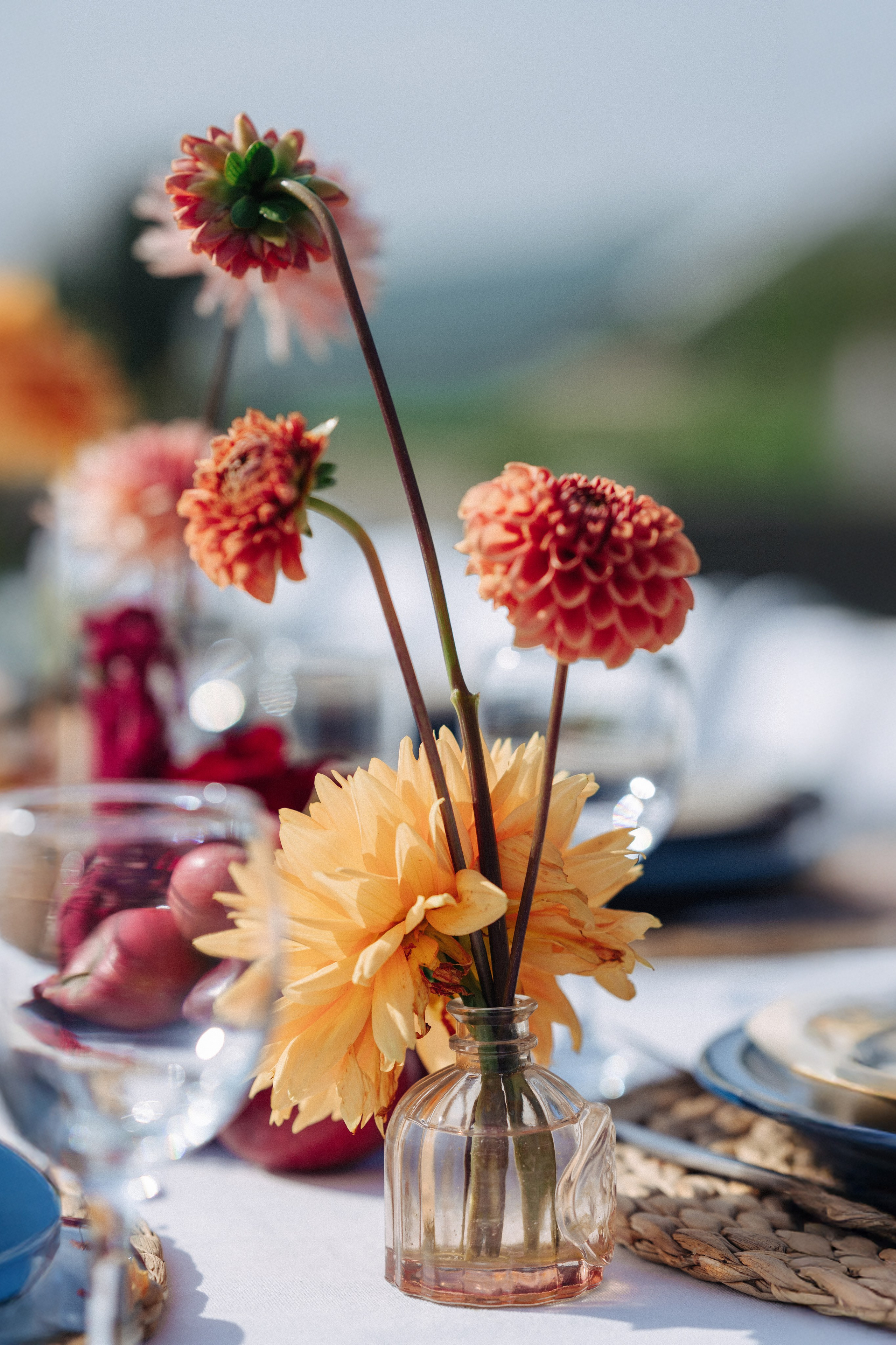 ЛЮСИ И ЭДУАРДО. Фотограф в Алматы — Дарья Фёдорова