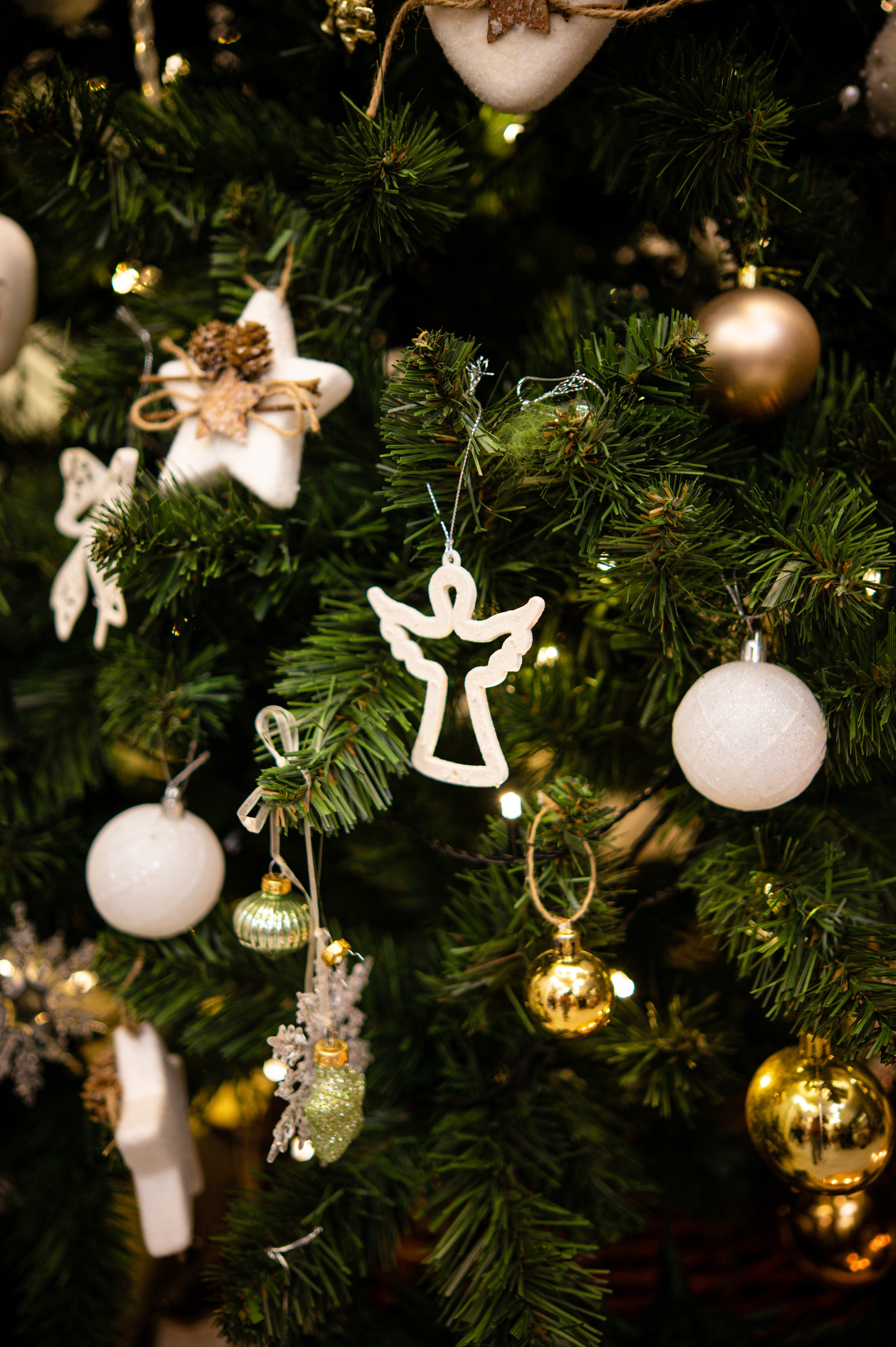 Новый год в фотостудиях 2022 \ 2023. Новогодний прайс. Свадебный фотограф и видеограф в городе Армавир Katerina Arts