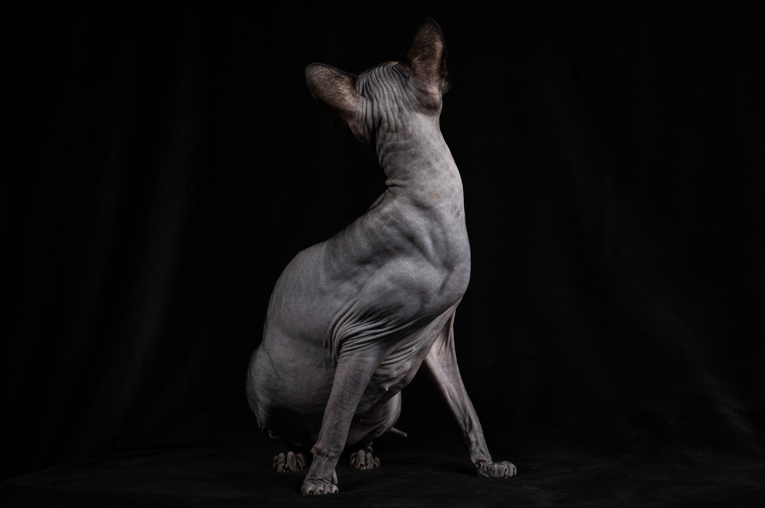 Alexandrovna photography