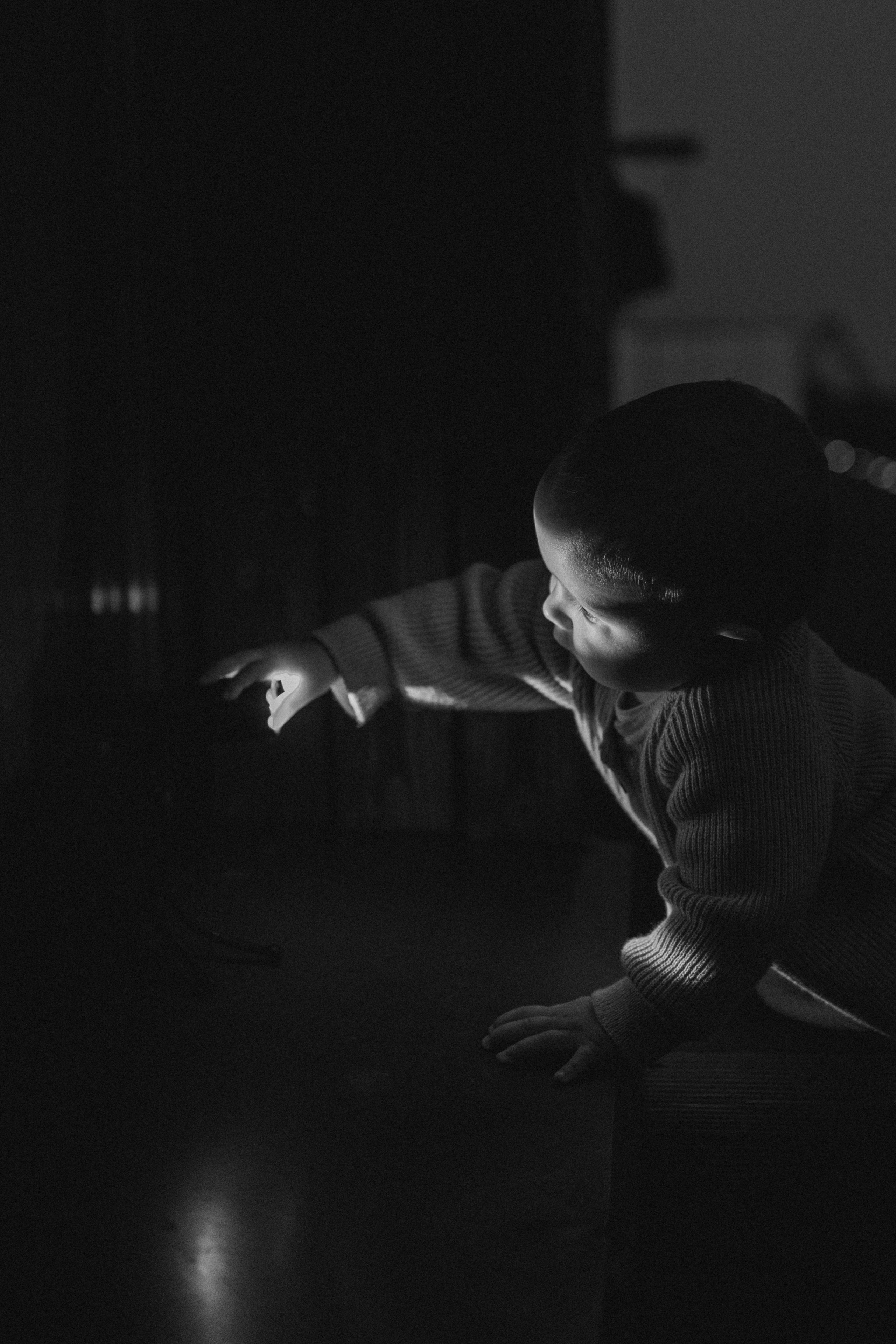 Семейная. Фотораф — анималист Мария Шистка