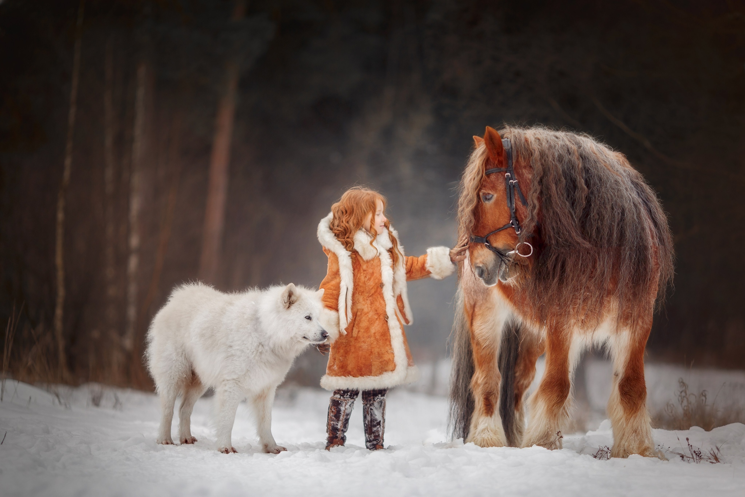 Детская конная съёмка. Детская Конная фотография в Москве Юлия Шепелева