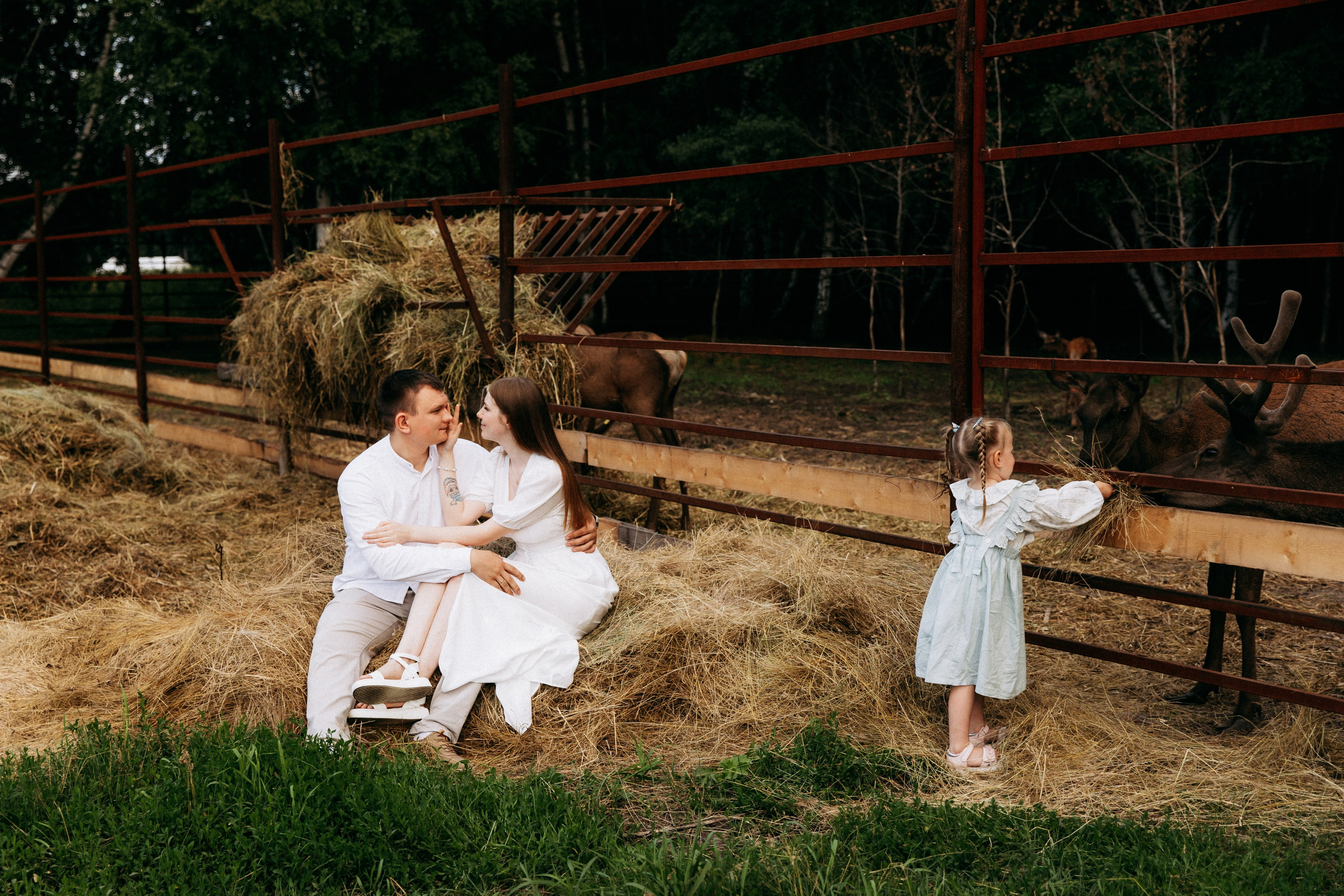 Мира и её семья. Главная