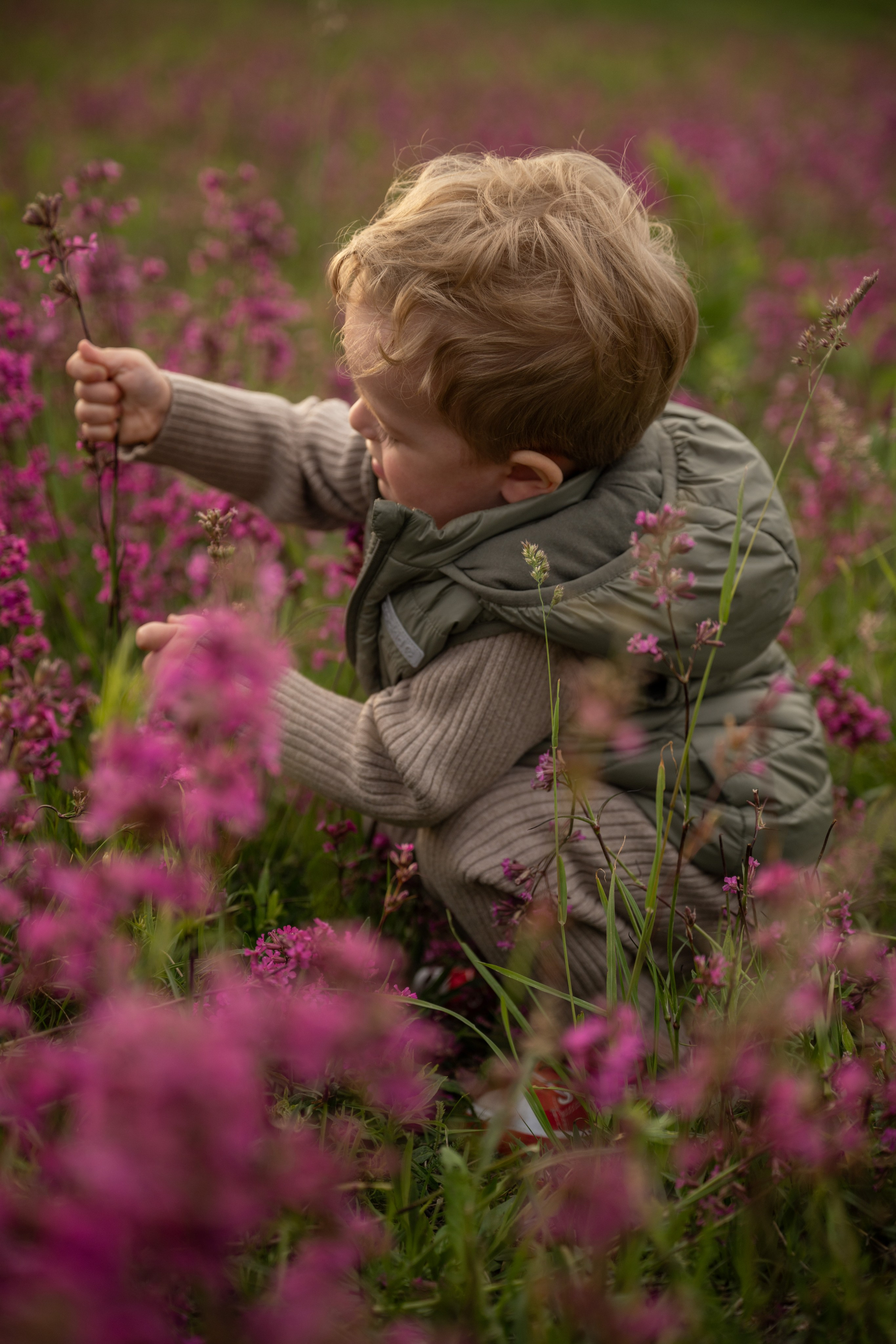 Прогулка на Колтушских высотах. Детский и семейный фотограф в Санкт-Петербурге и Ярославле Павлова Гал