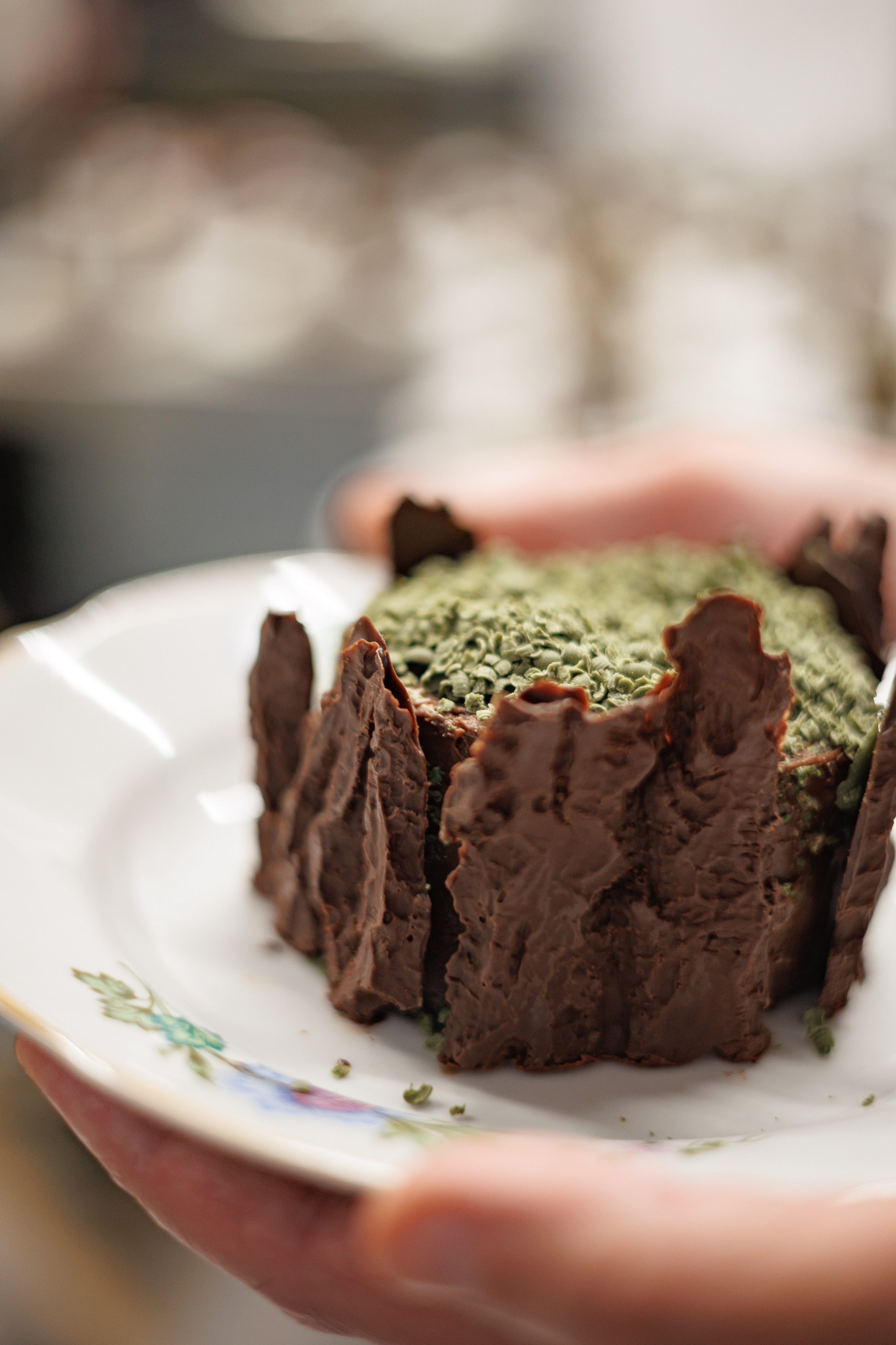 Гастроужин Поселенцы в гостях у Самозванцев