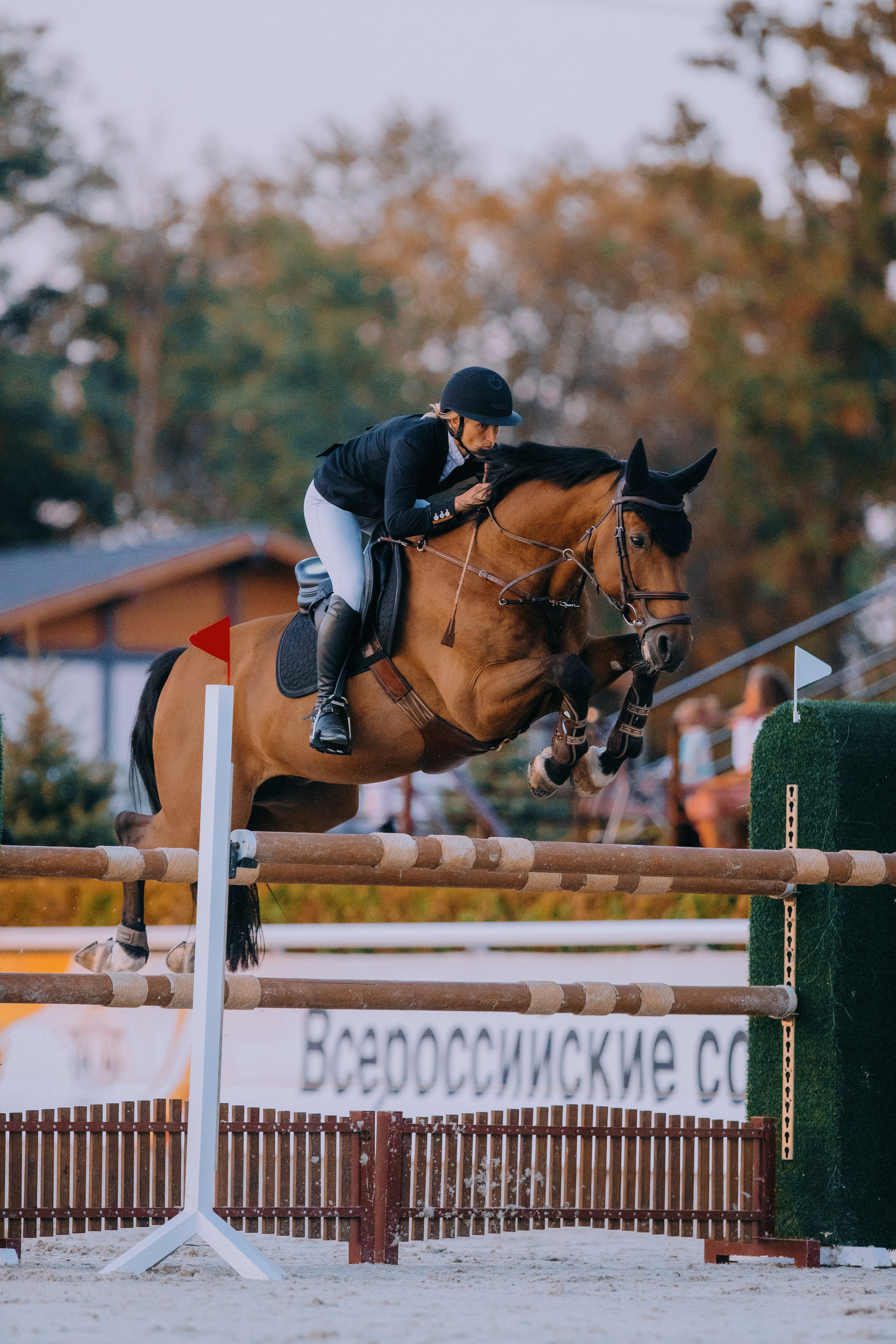 Отзывы. Фотограф-анималист Ксендзова Кристина