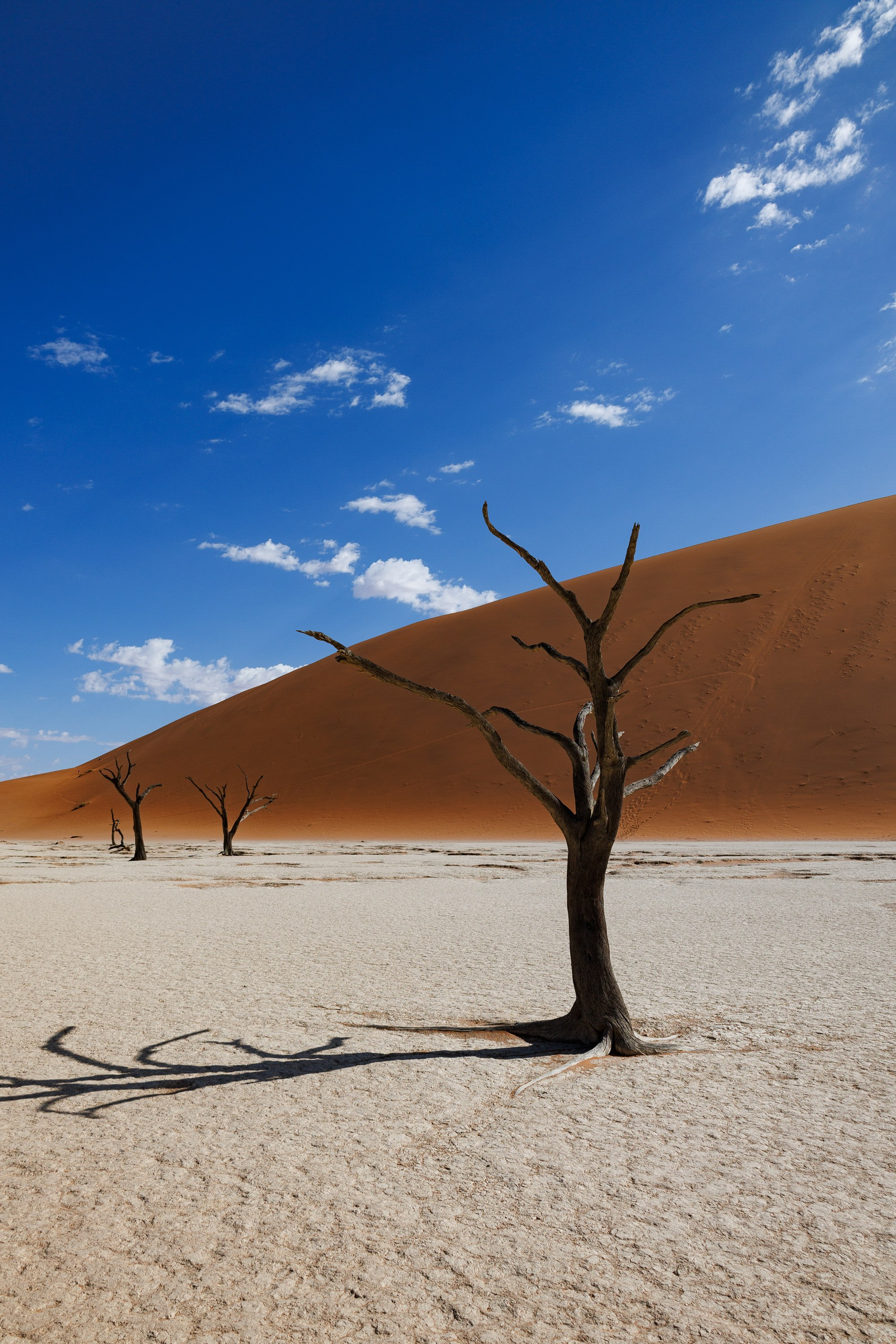 НАМИБИЯ. Роадтрип