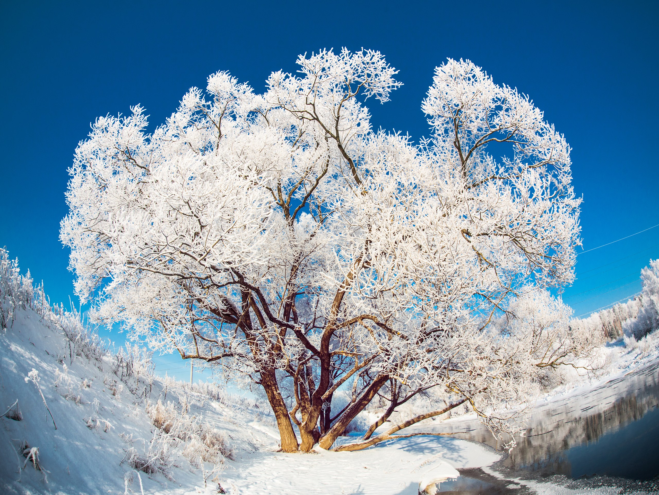 Фотограф Владимир Медведев
