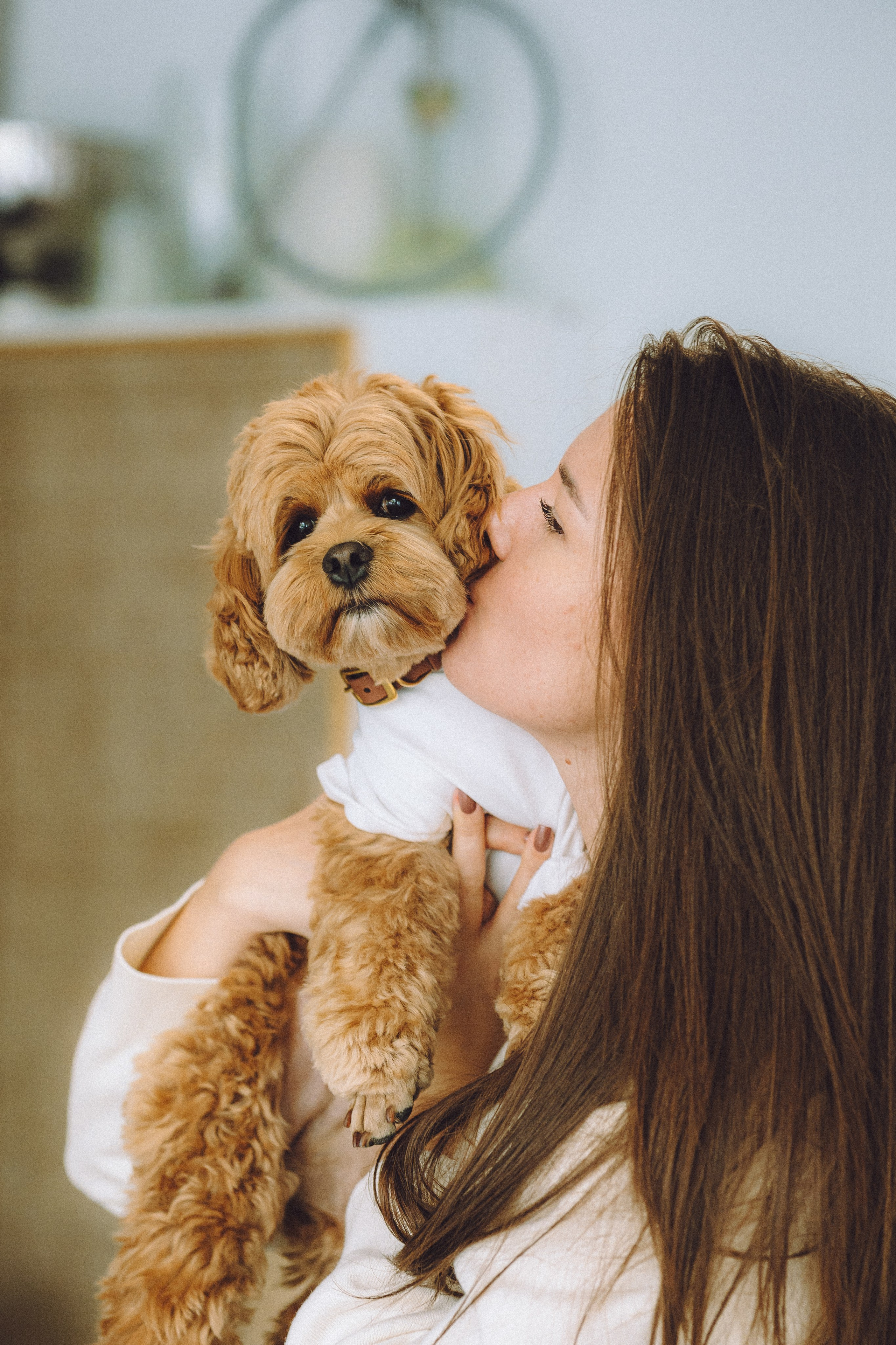 День Рождения пуделя Глаши