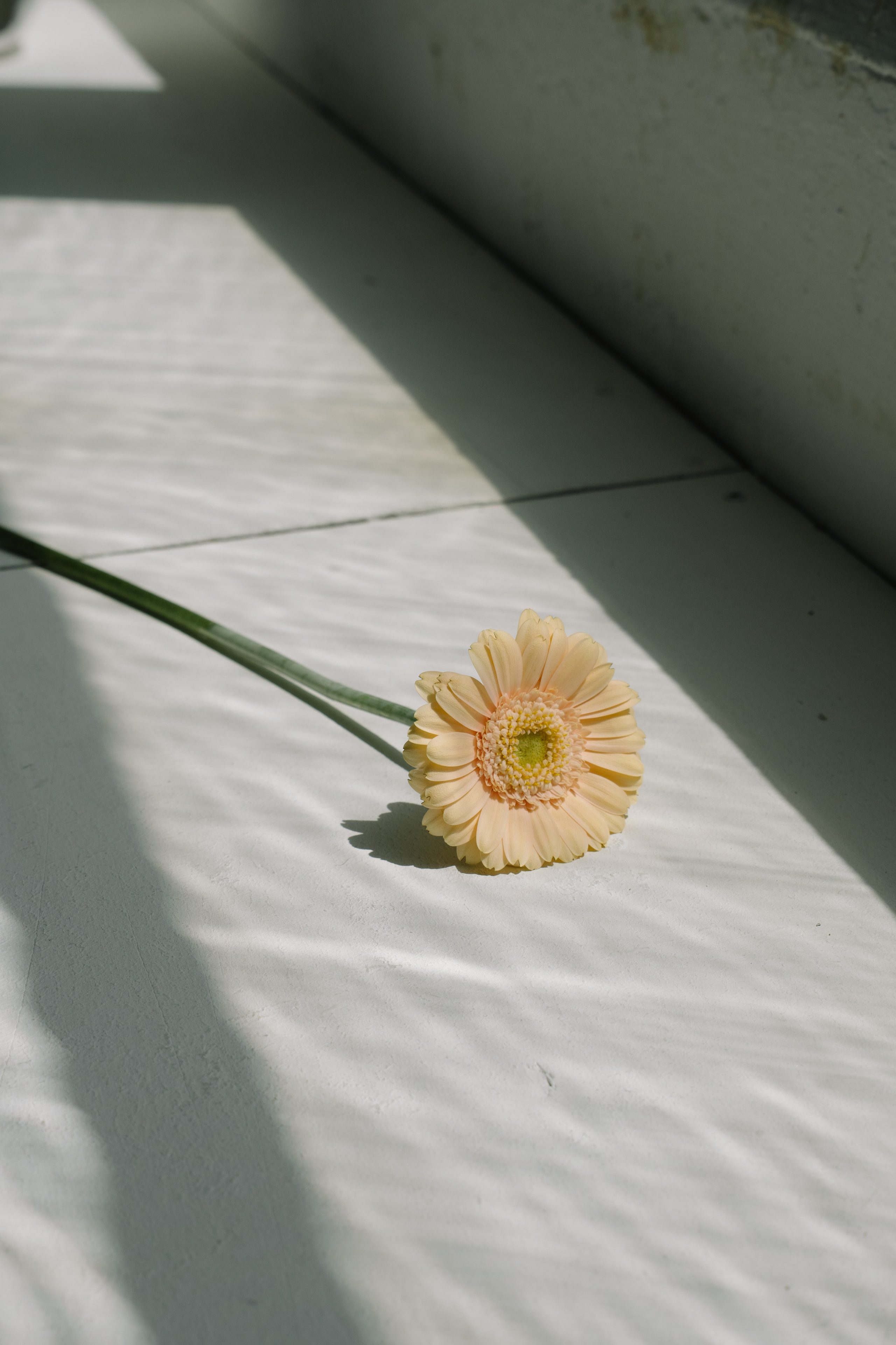 Искусство любить