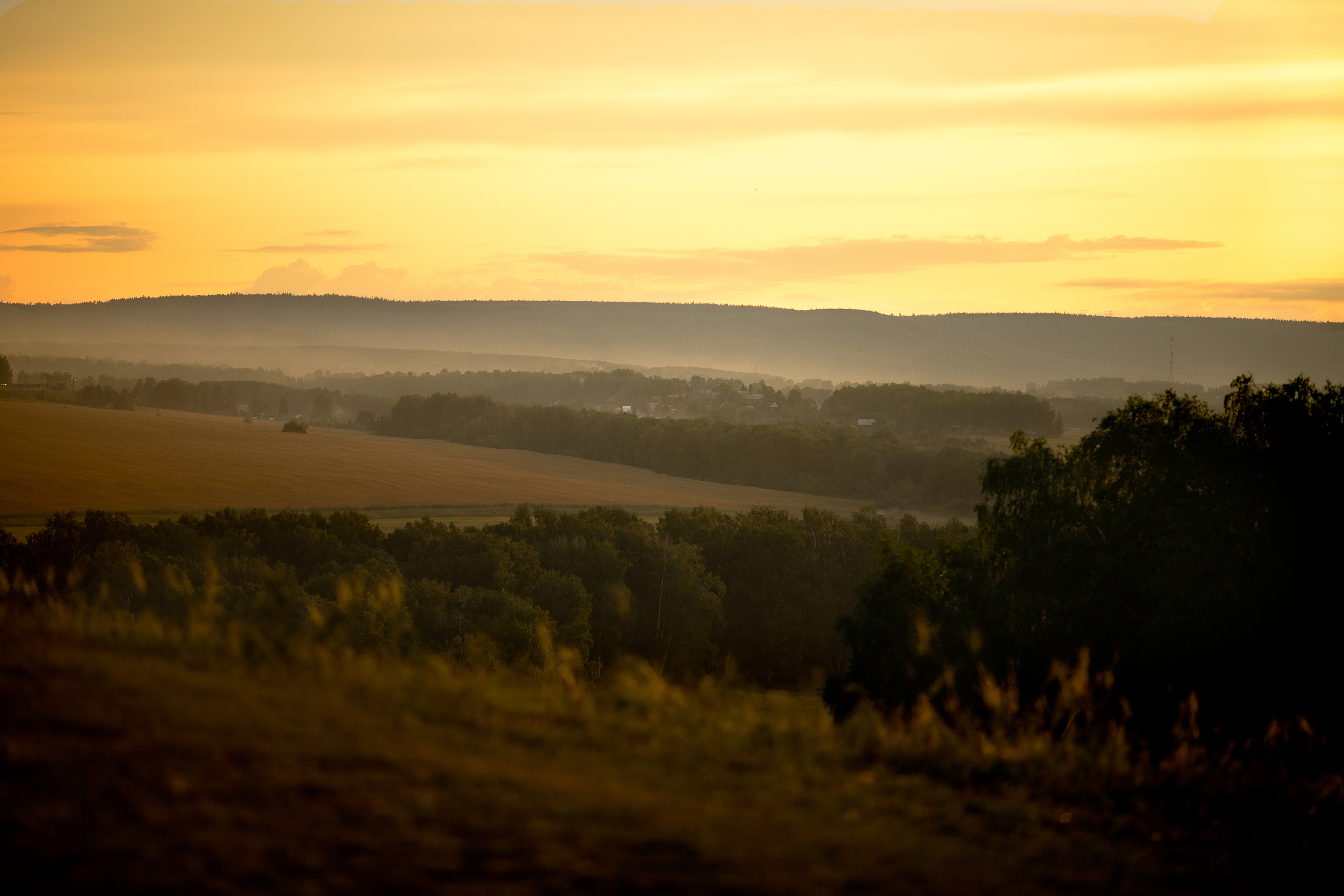 В пушистиках.... Детский и семейный фотограф в Красноярске Елена Коровкина