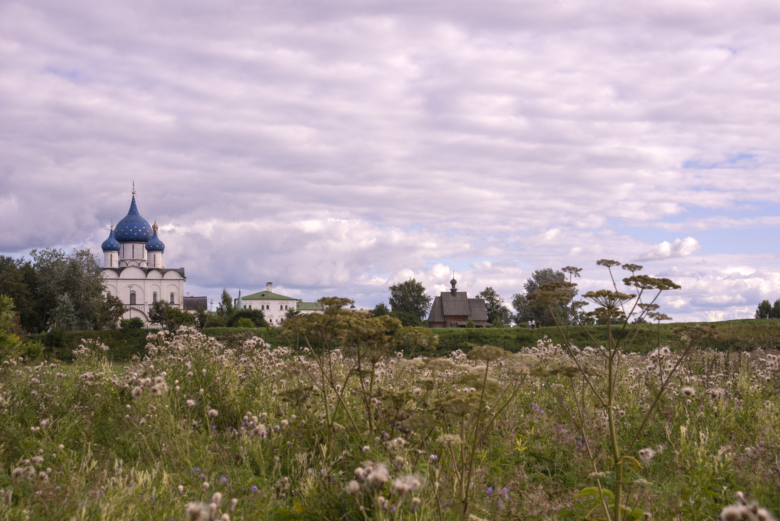 Суздаль. Август 2020. Игорь Жучков. Россия увиденная глазами путешествующего фотографа