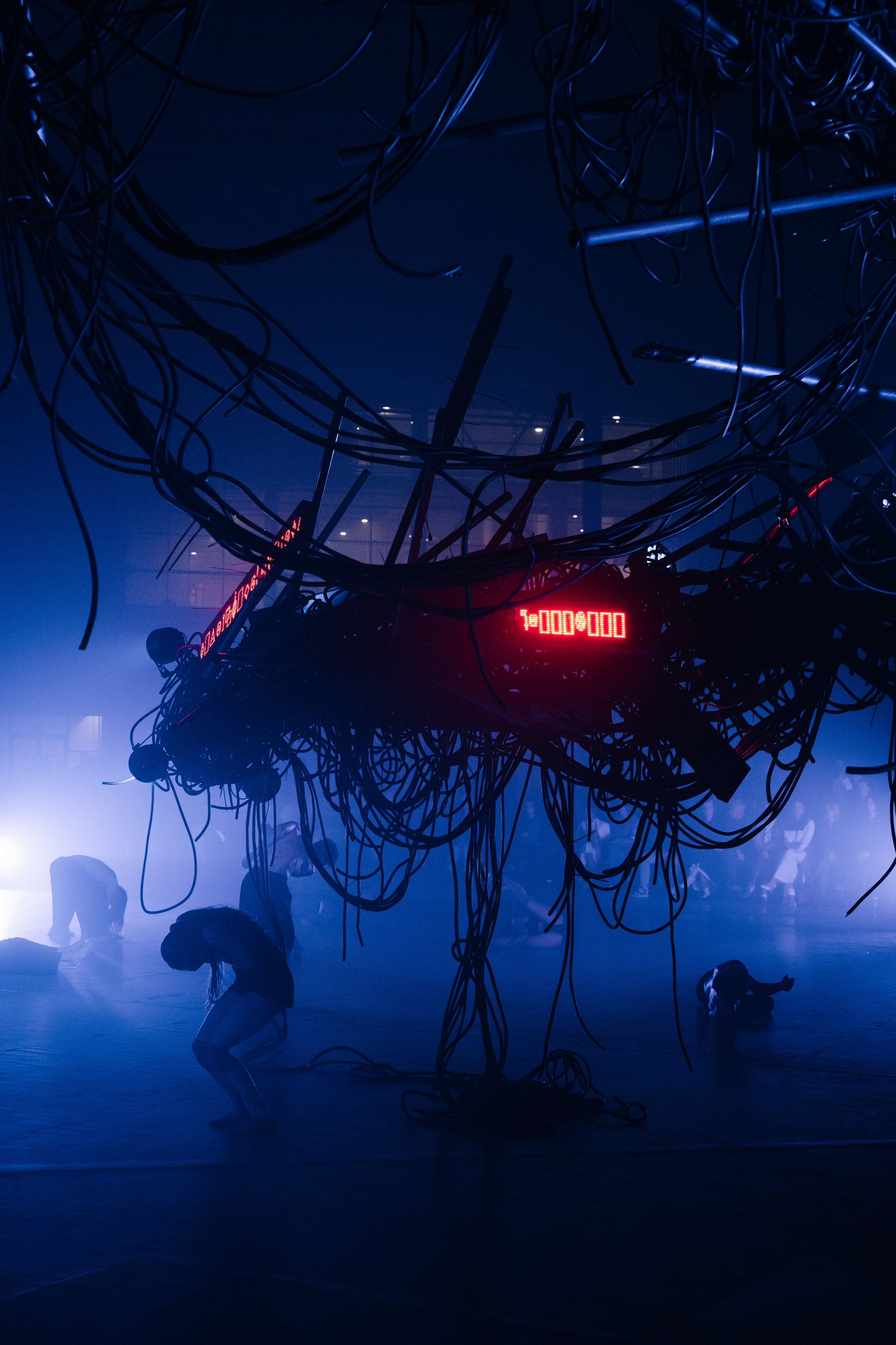 PERFORMA, The Hour of the Horse. @tomrus: Рустам Шагиморданов — фотограф