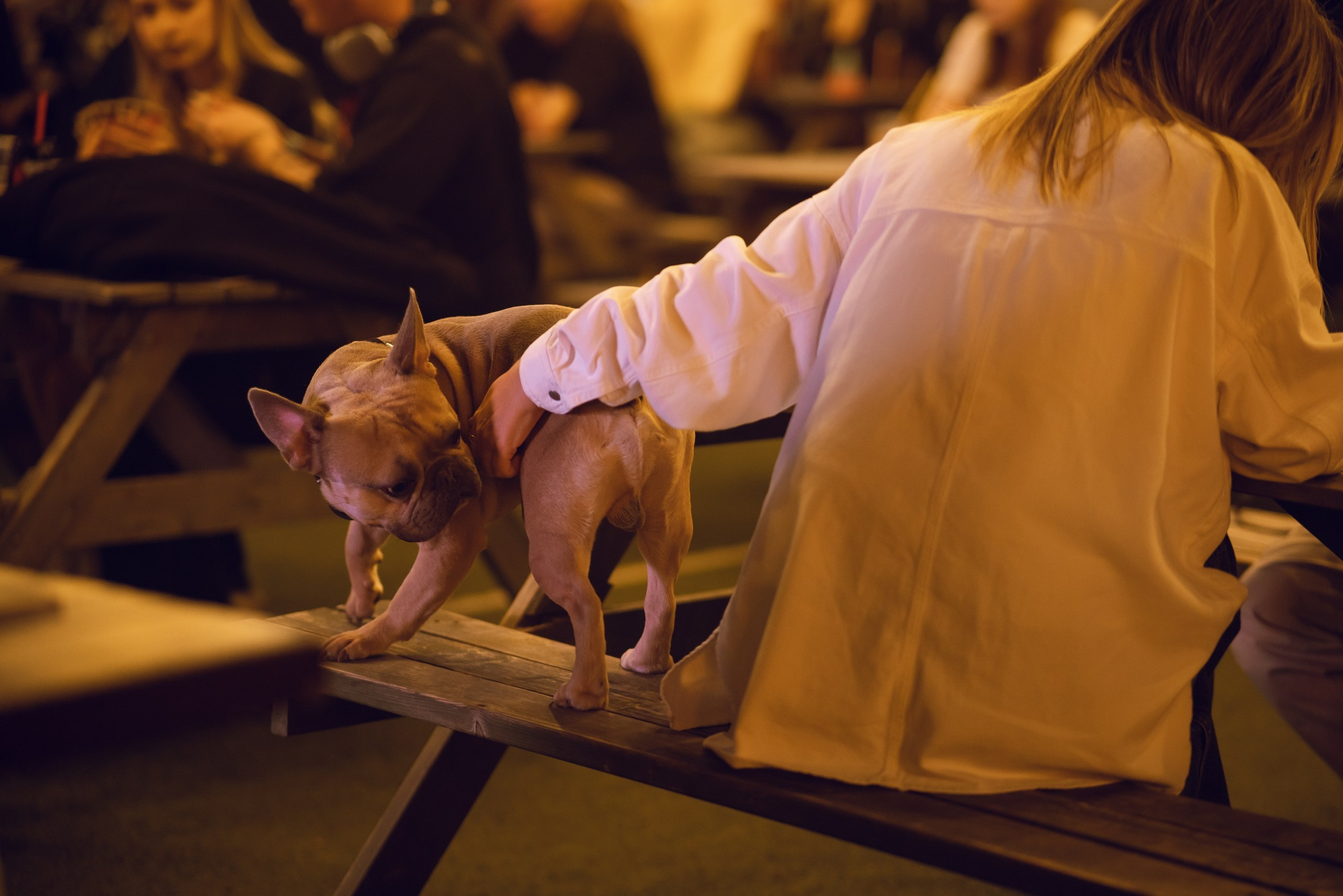 ДР Парк Культуры&Антоха МС — 20.07.24. Фотограф Николай Петрушкин | Ставрополь, Москва