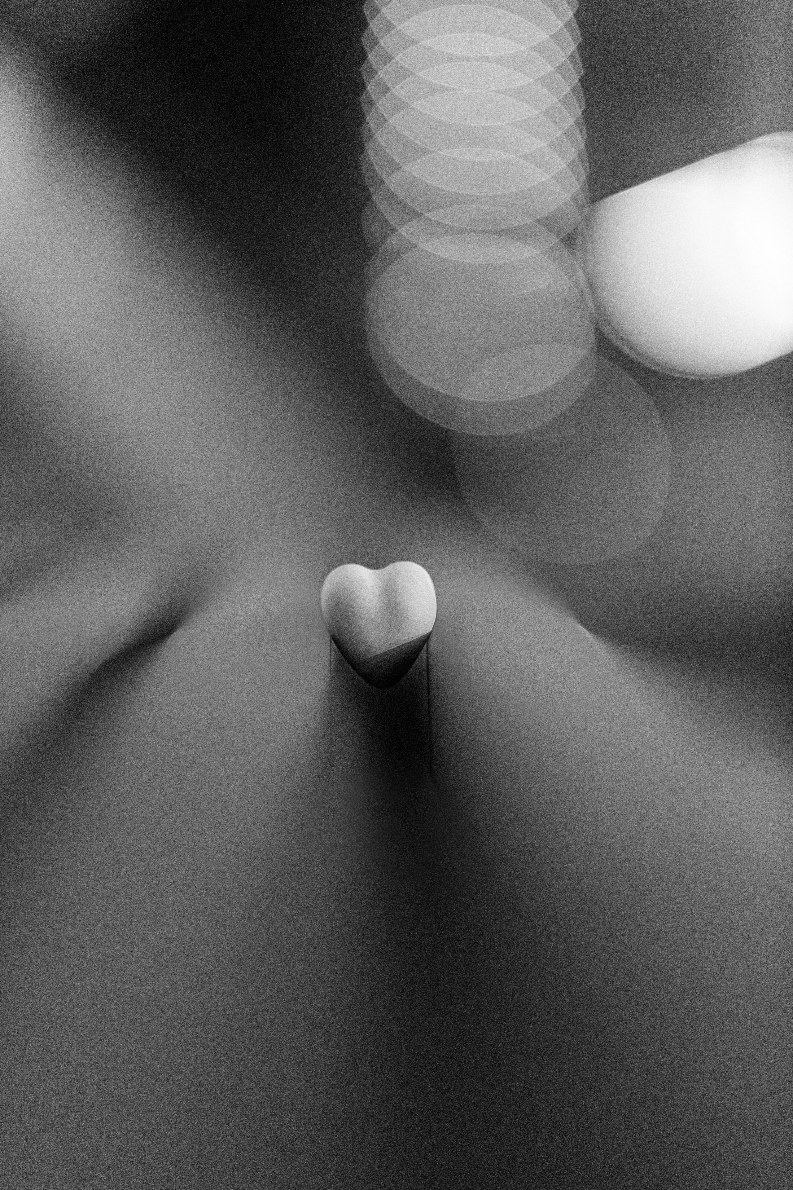 Проект «366»|2024|Фото каждый день. LENA GRACE photographer ||ЛЕНА ГРЭЙС фотограф