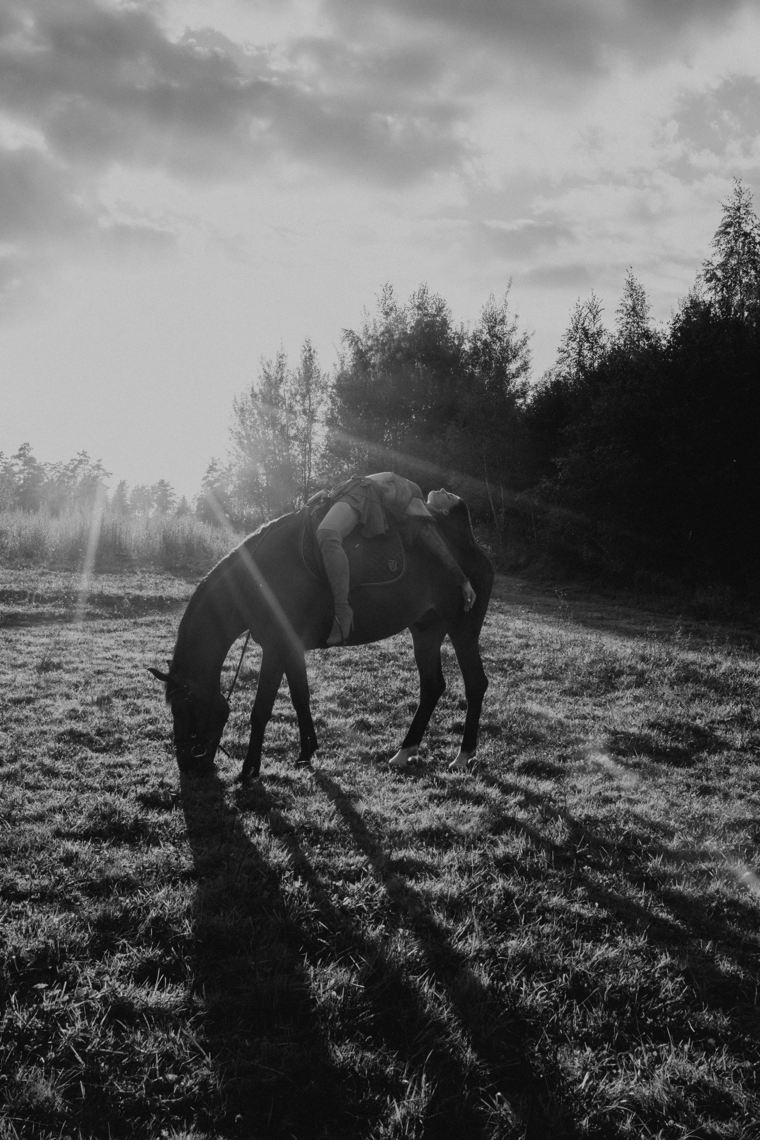 Фотосессия с лошадью. Фотограф Москва / Зеленоград — Наталья Петухова