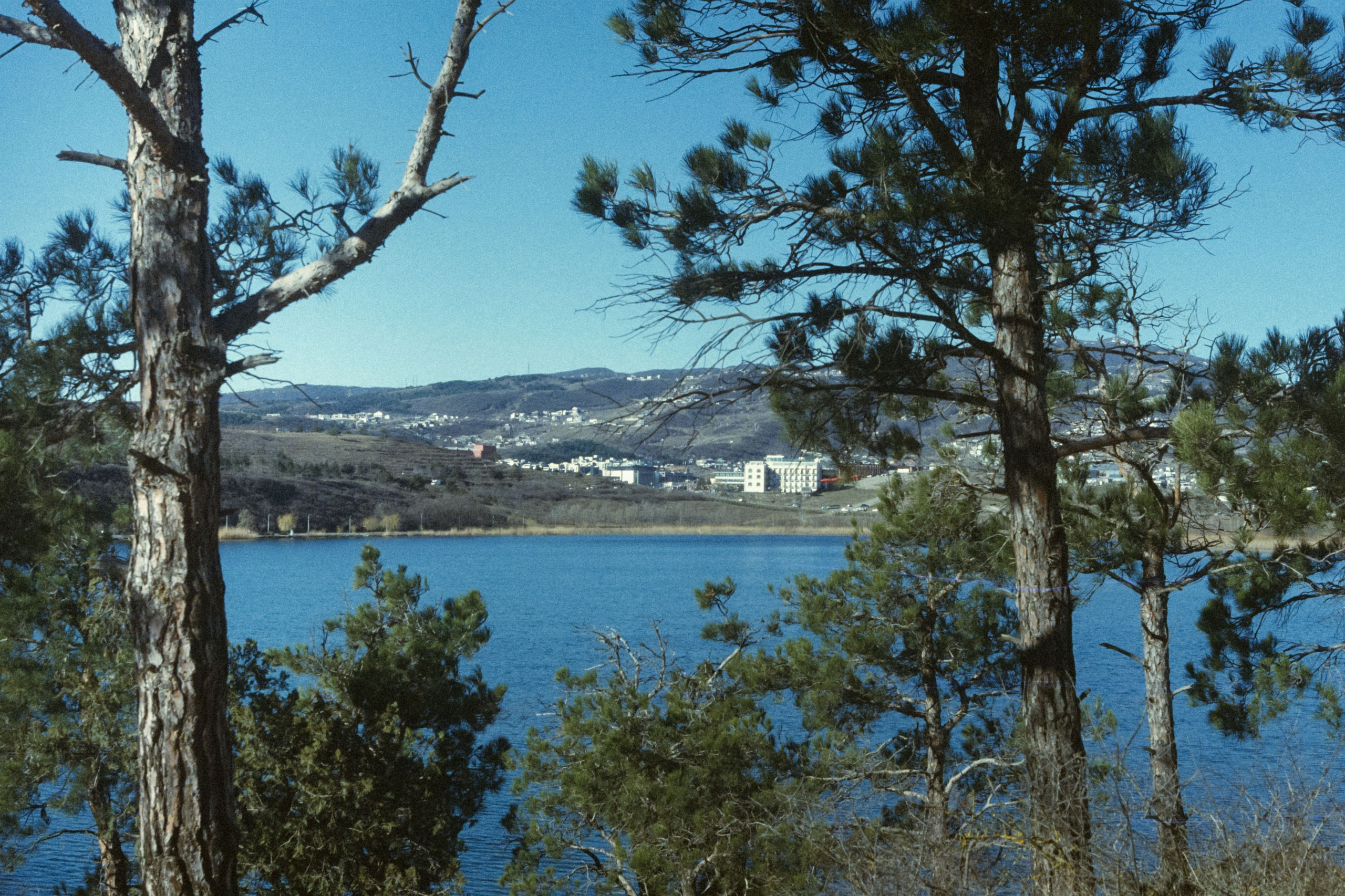 Тбилиси и Петербург. Юля Мурашова портретный и документальный фотограф