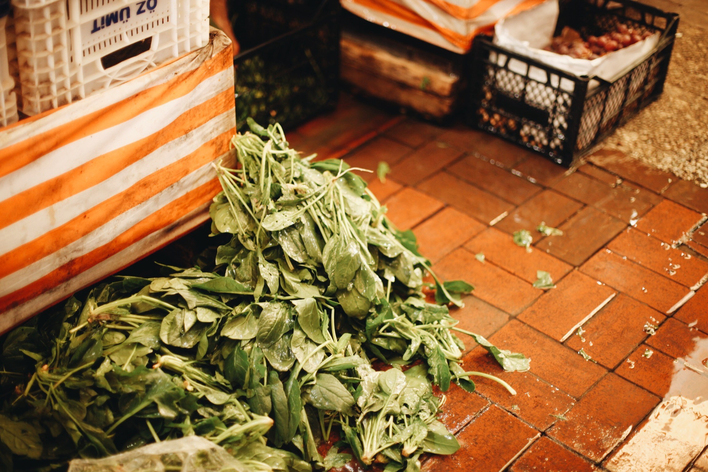 Волна. Ксения Плотникова