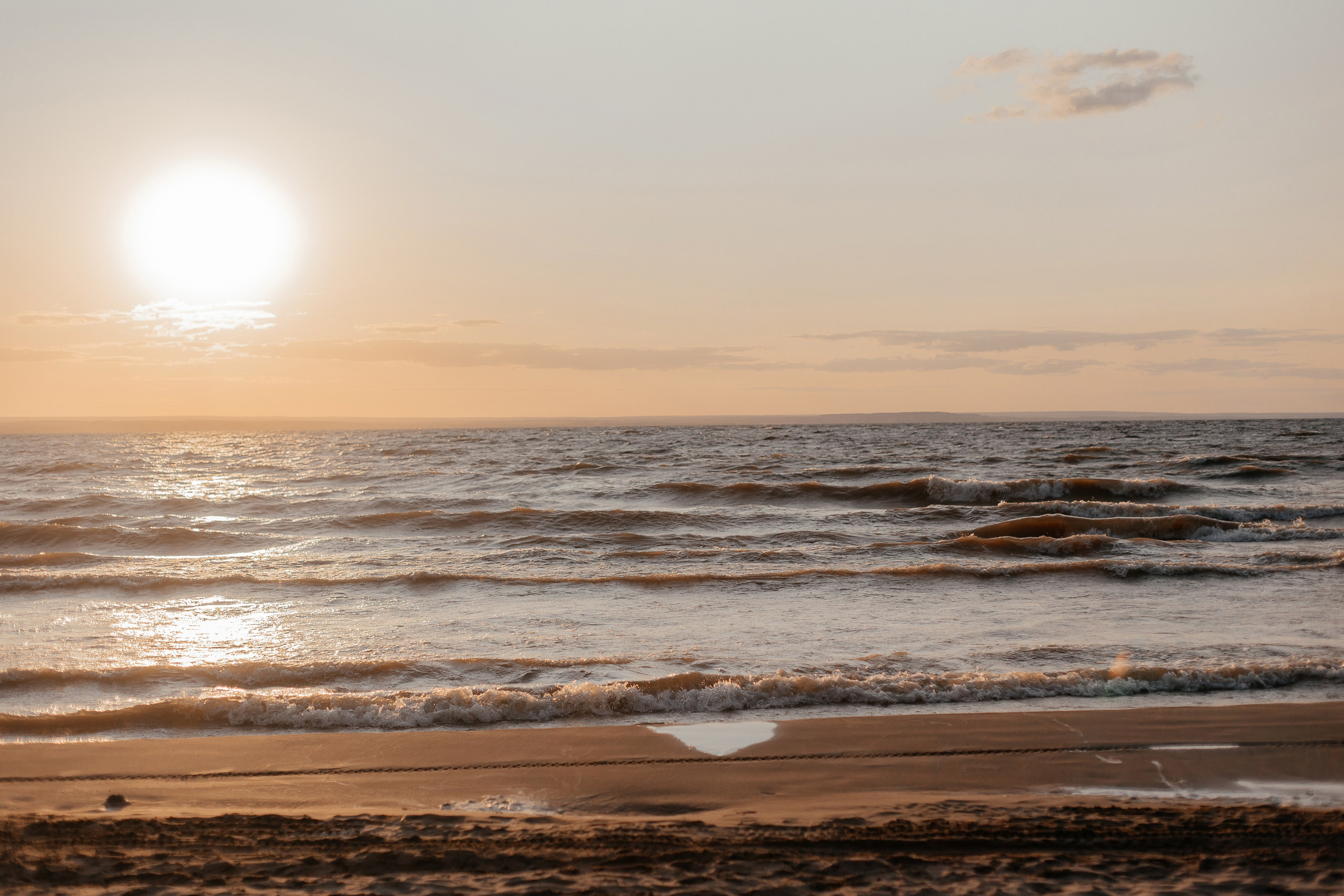 В лучах солнца. Фотограф Елена Краснопевцева