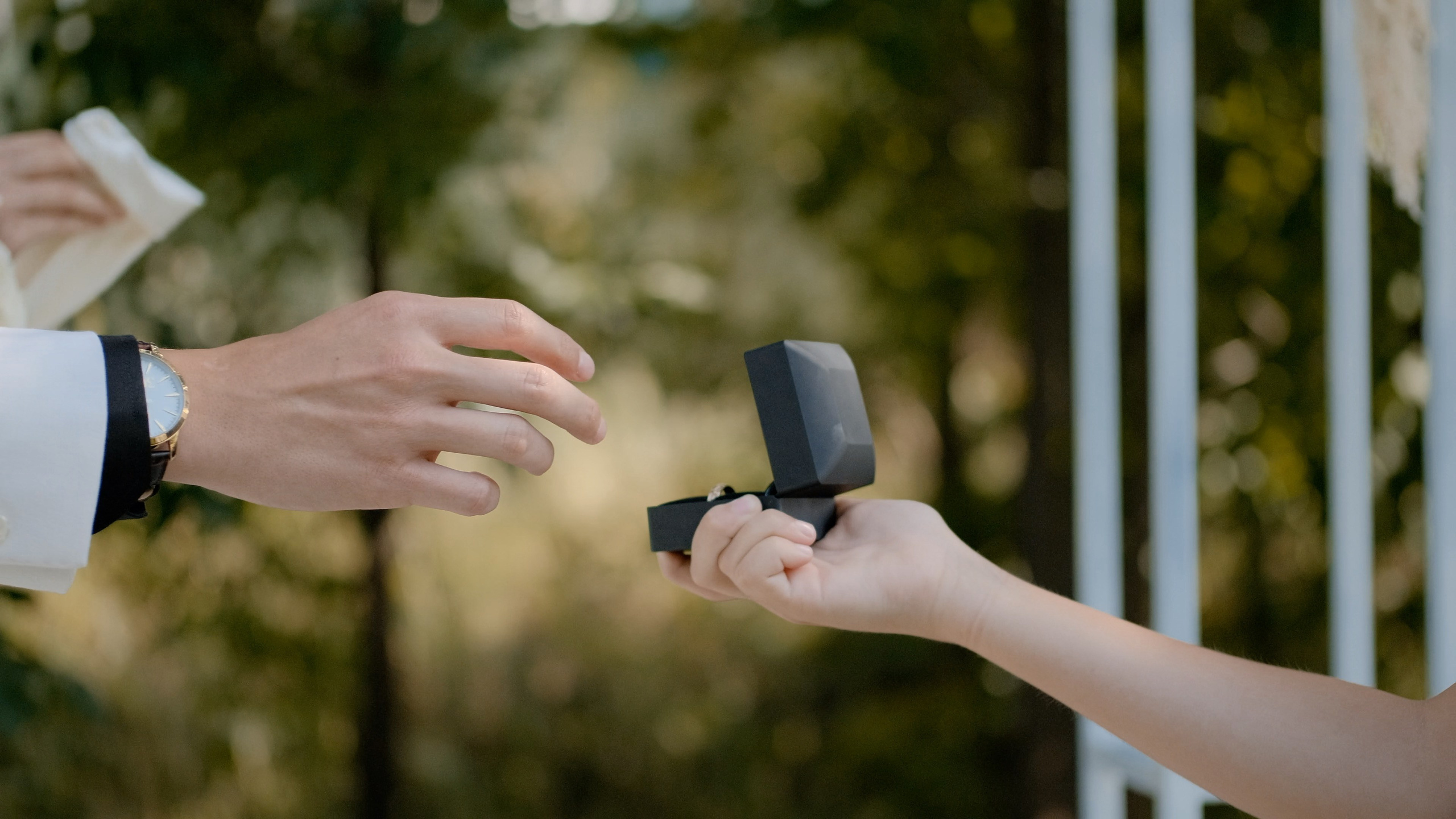 Свадьба Nicky & Nicky. Видеограф Павел Борисов | Москва | СПБ | Брянск