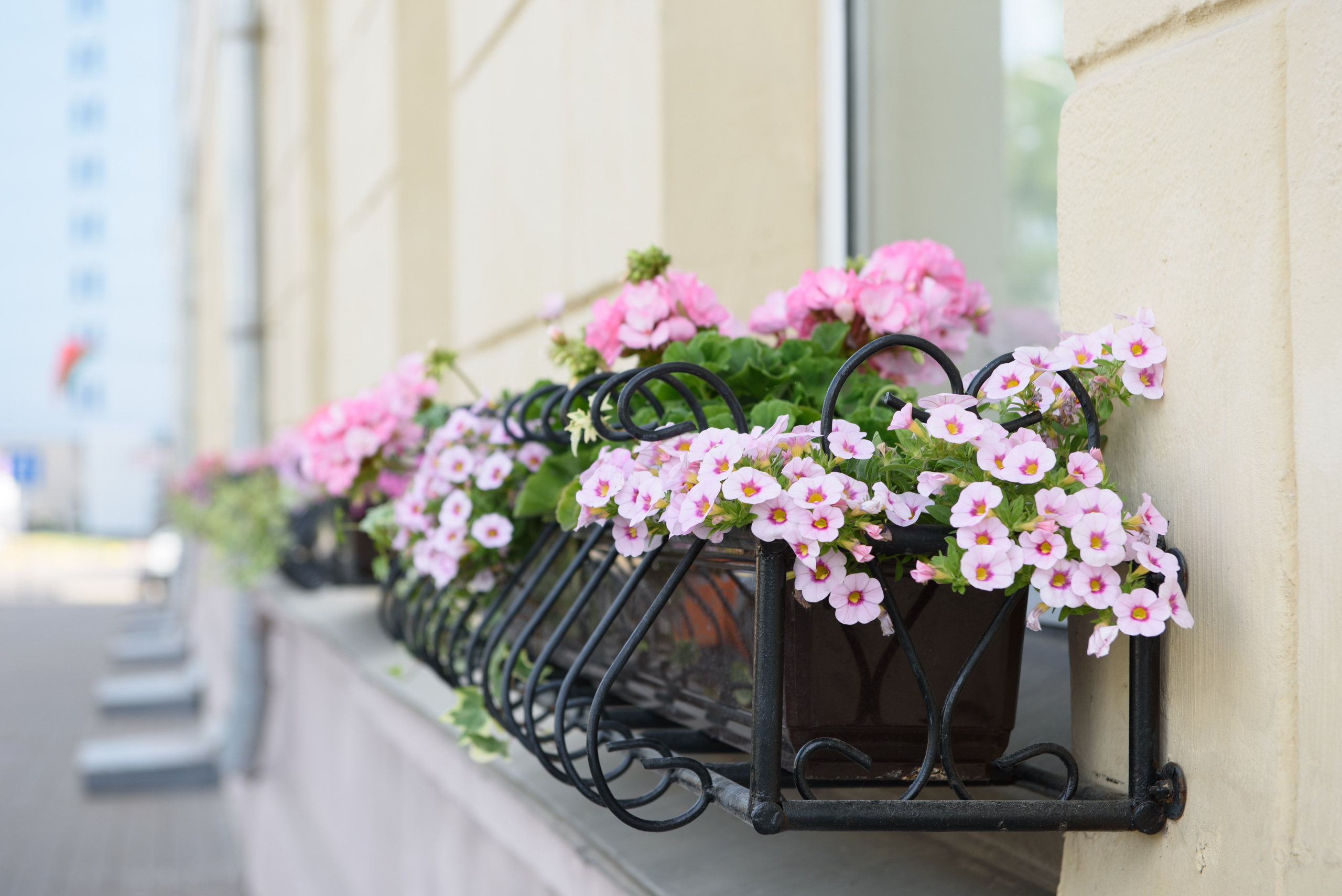 Прогулка по Минску. Анна Боровикова, фотограф Пушкино