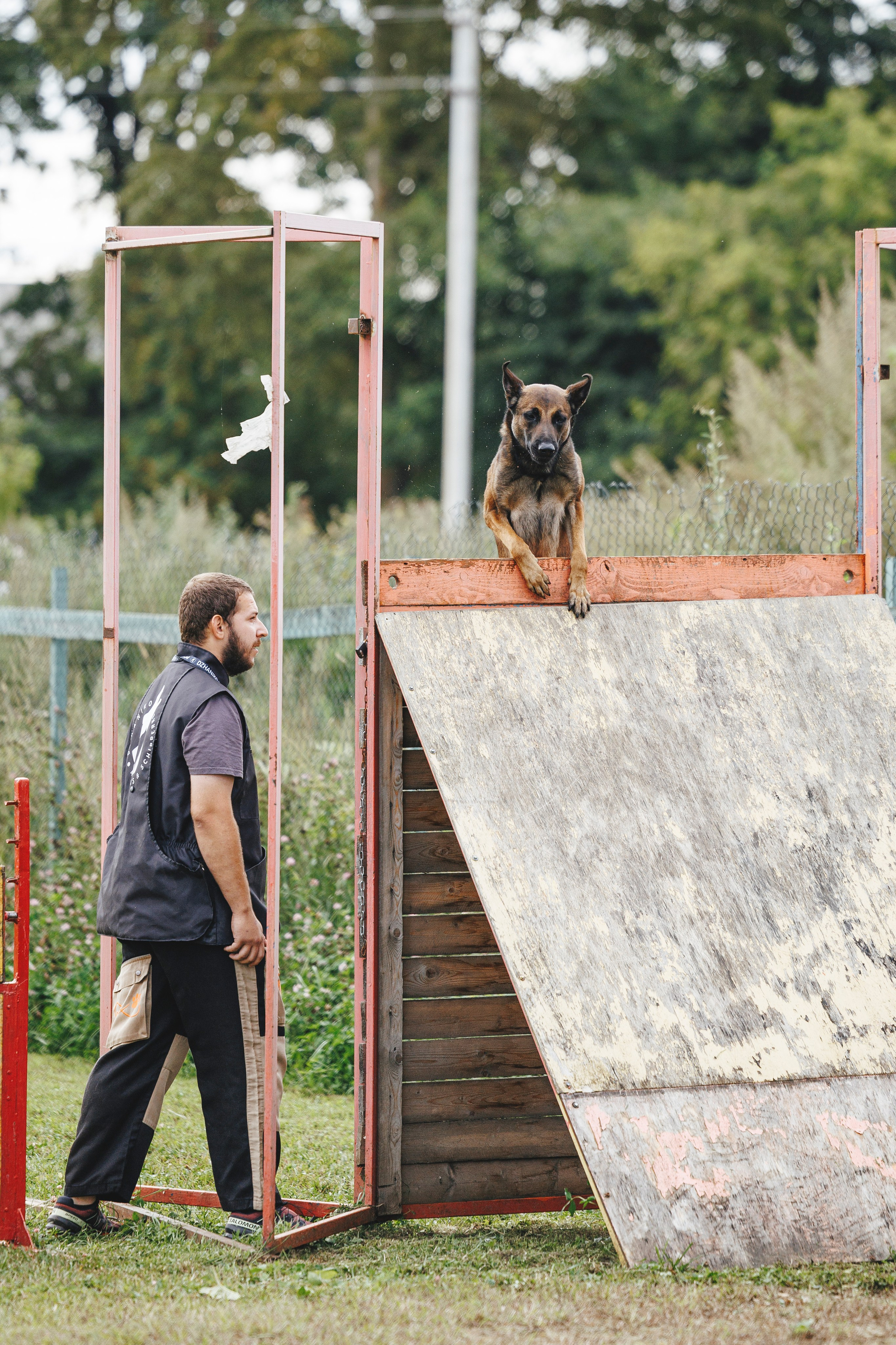 08.08.25-10.08.25 ЧР по мондьорингу г. Вологда. Фотограф-анималист Анна Маринич
