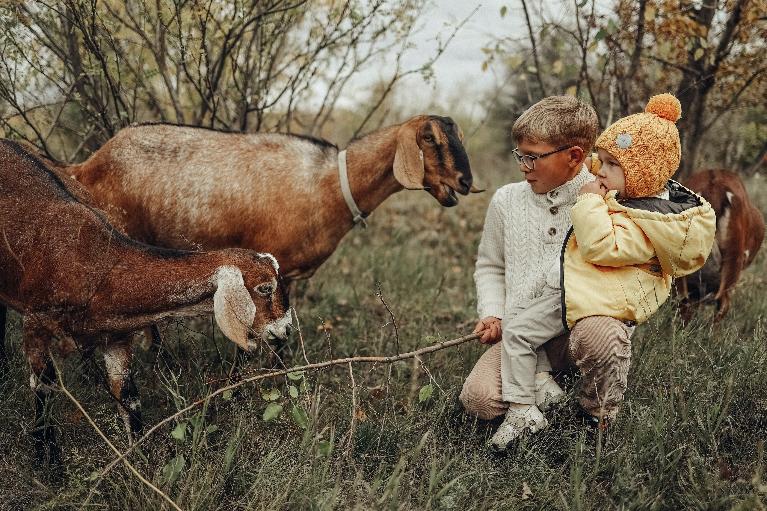 Семейная прогулочная съёмка. Фотограф в Астане Элина Багинская