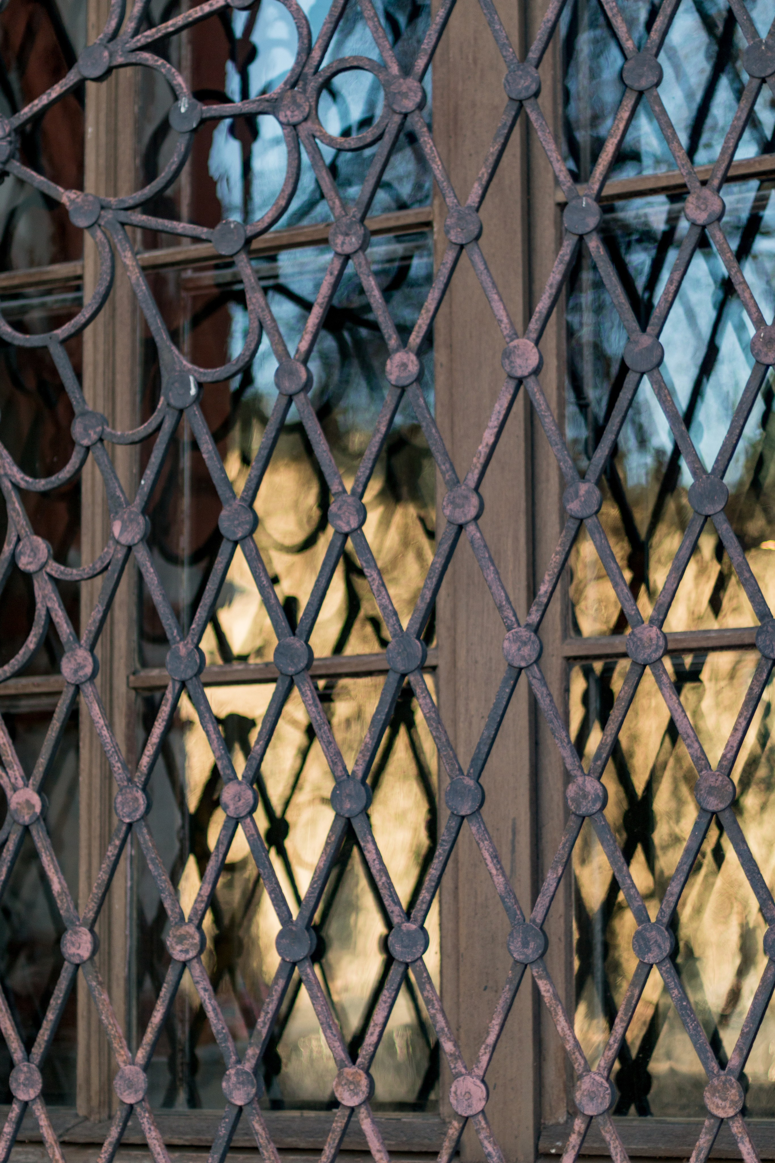 Москва. Фотограф в Сочи