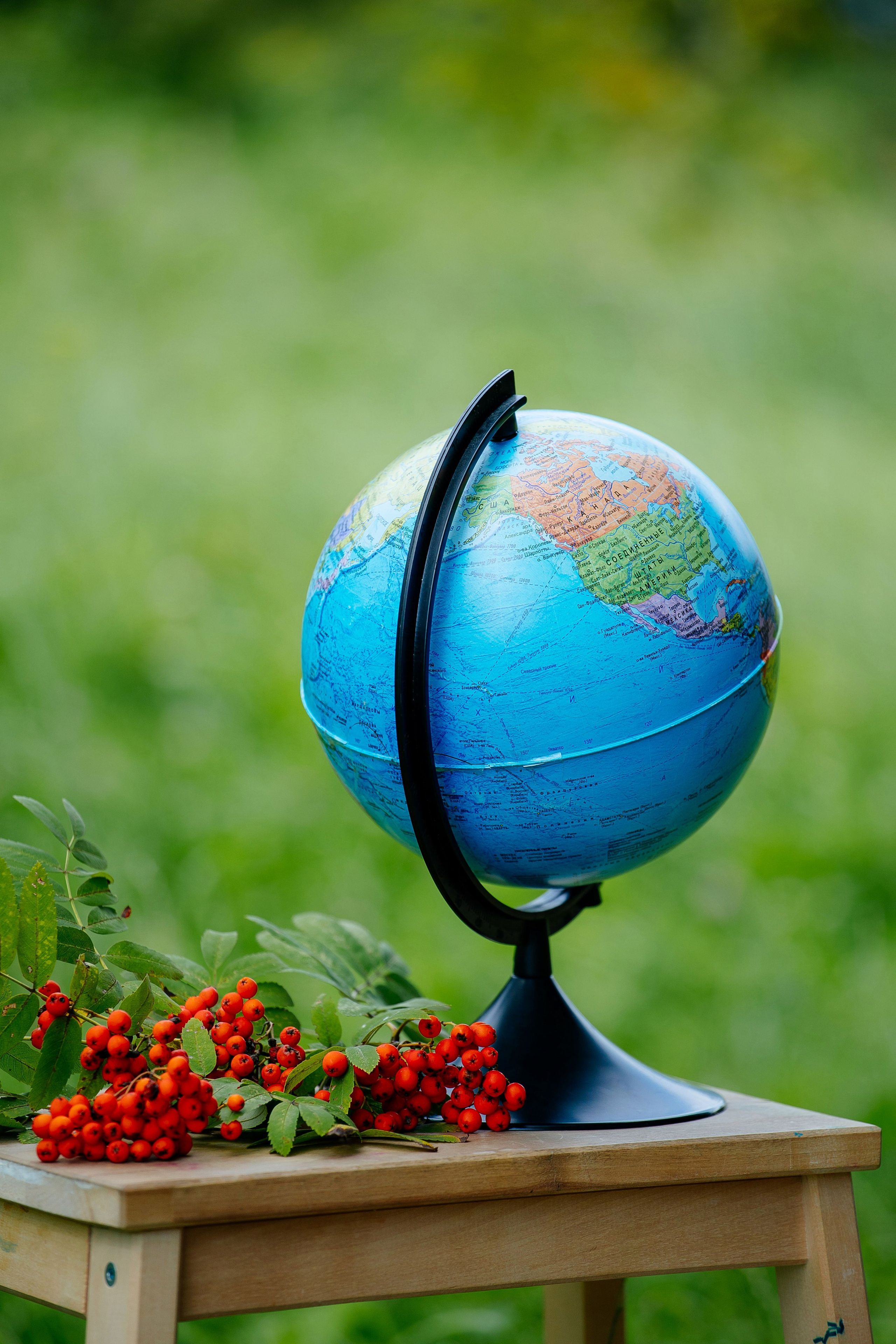 1 сентября. Семейный и детский фотограф в Москве Александра Мак