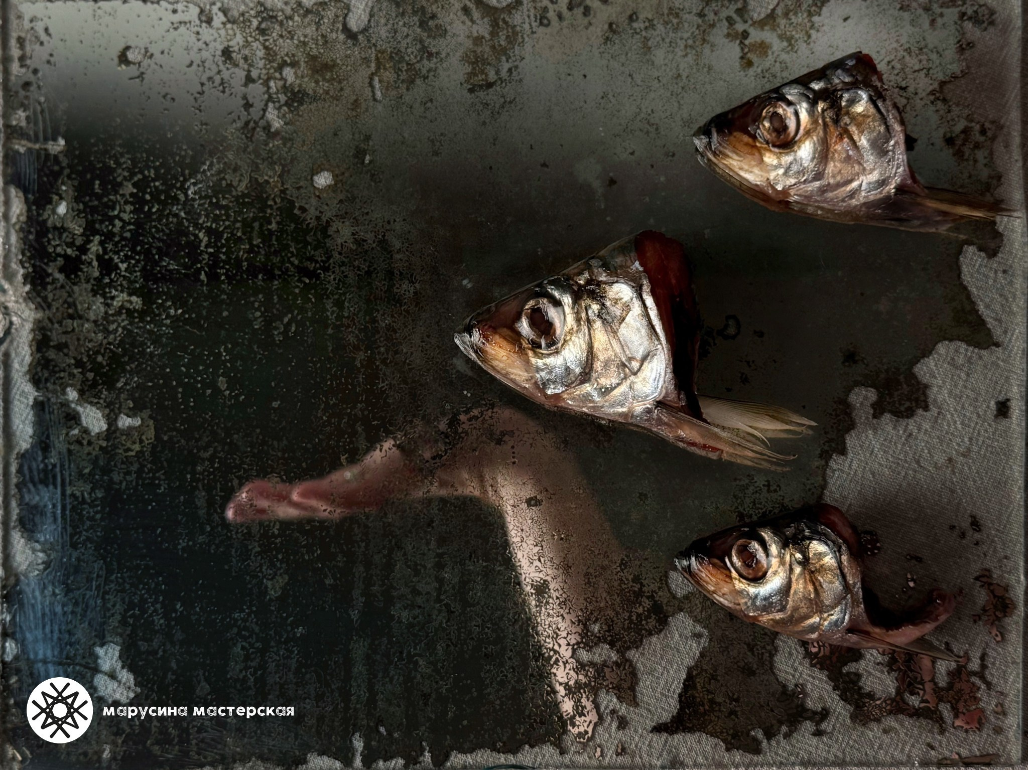 Вероника Новикова