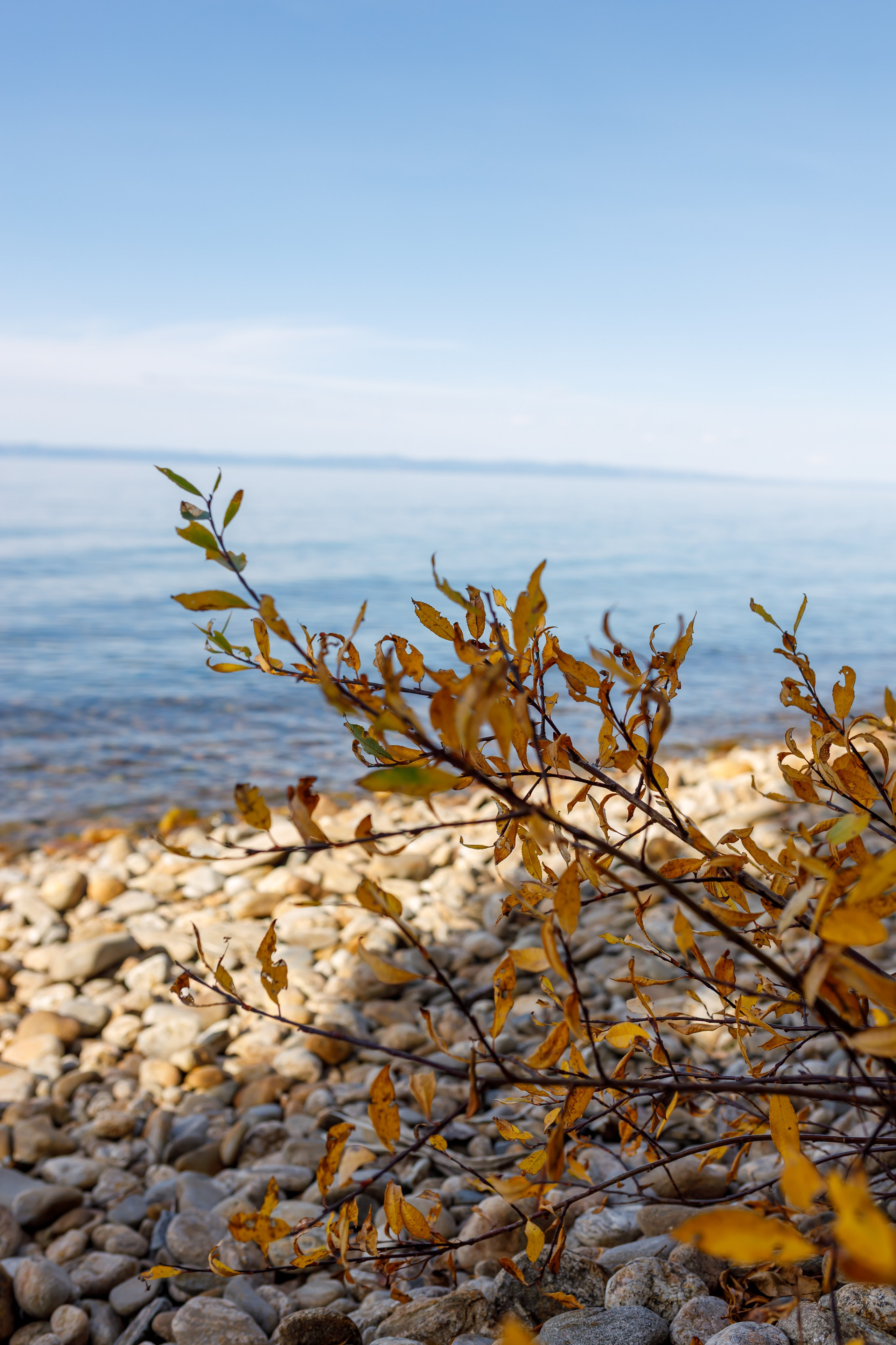 Эко — парк «Танхой». Осенняя съемка. Интерьерный, предметный и контент фотограф в Иркутске Наталья Карпова