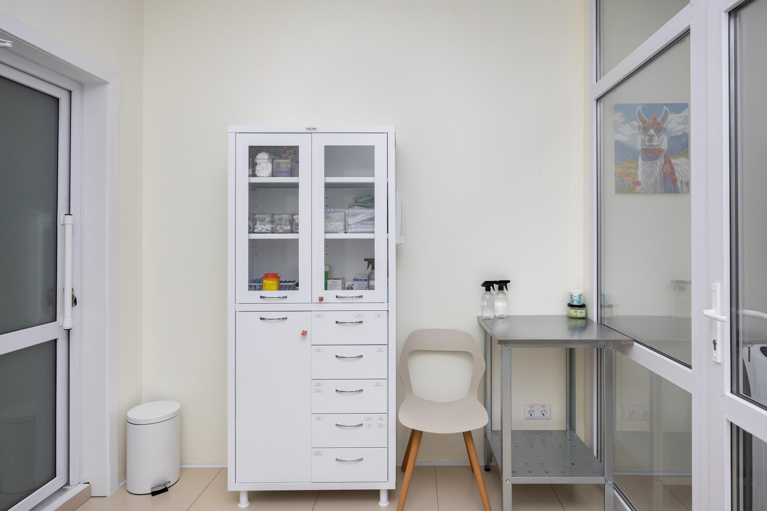 Фотосъемка ветеринарной клиники. Интерьерный, предметный и контент фотограф в Иркутске Наталья Карпова