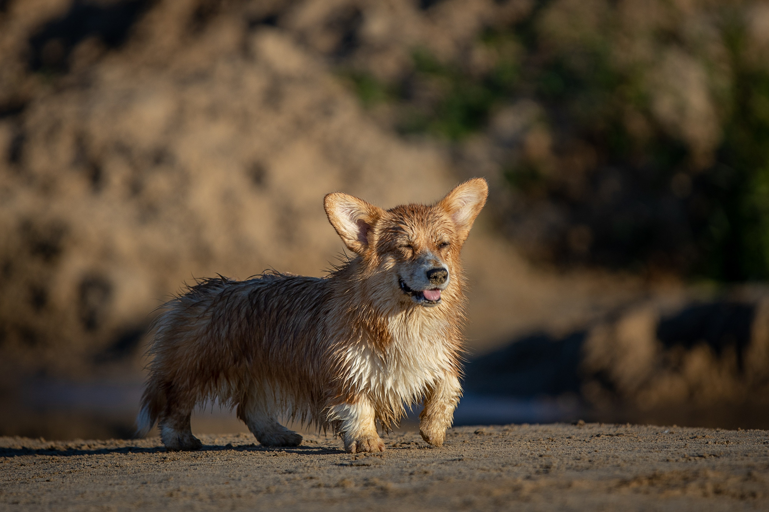 Рассвет. Фотограф-анималист Александра Шеремет