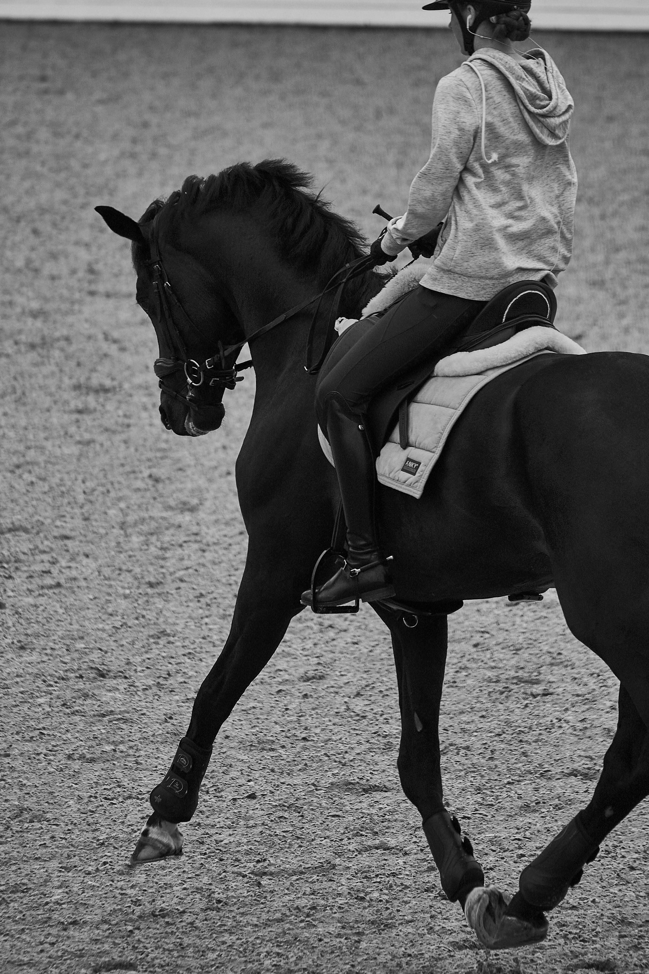 Анна и Наполи. Фотосессии с лошадьми в Москве, Новосибирске