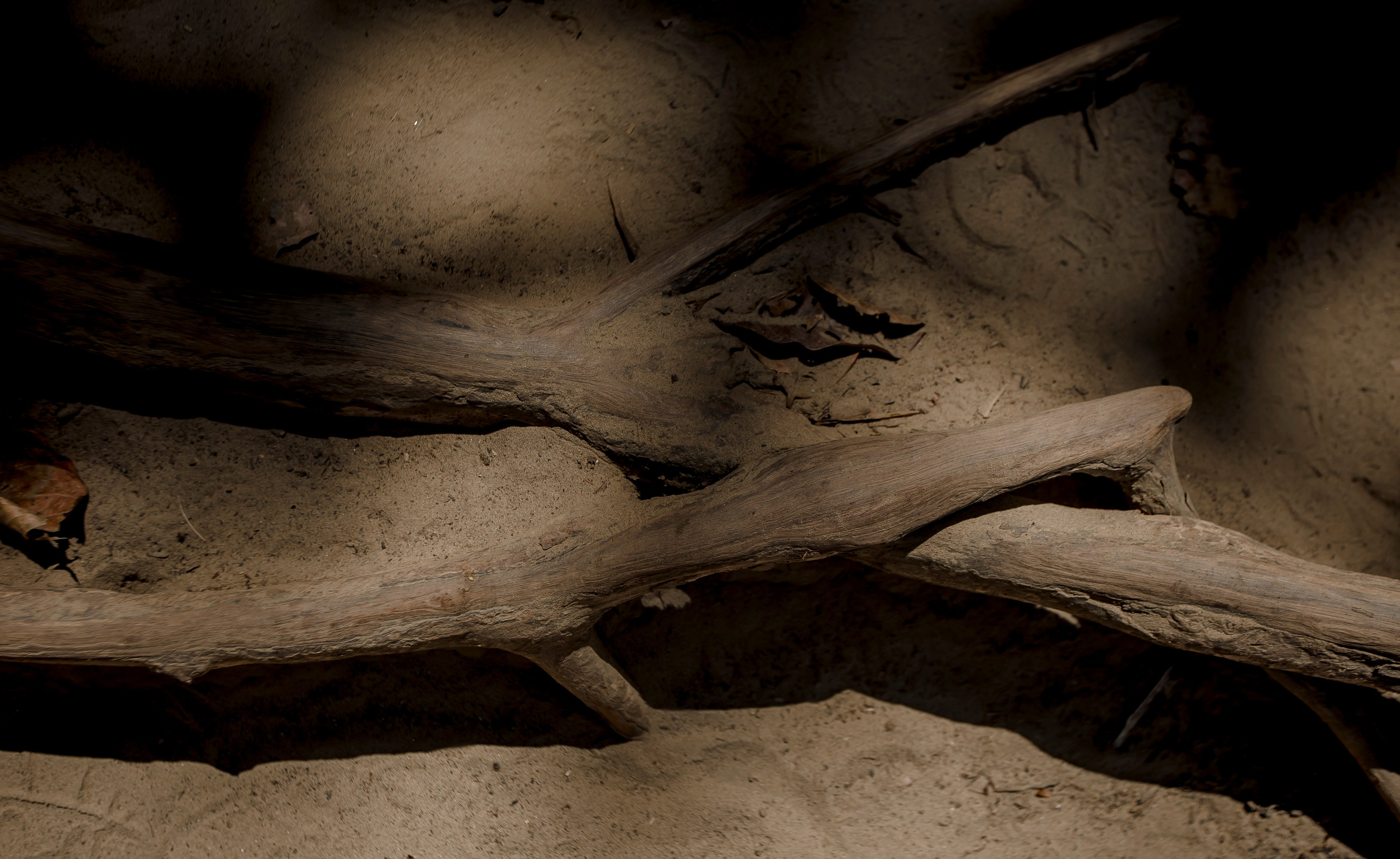 Andaman Islands, Part2. Art Photographer