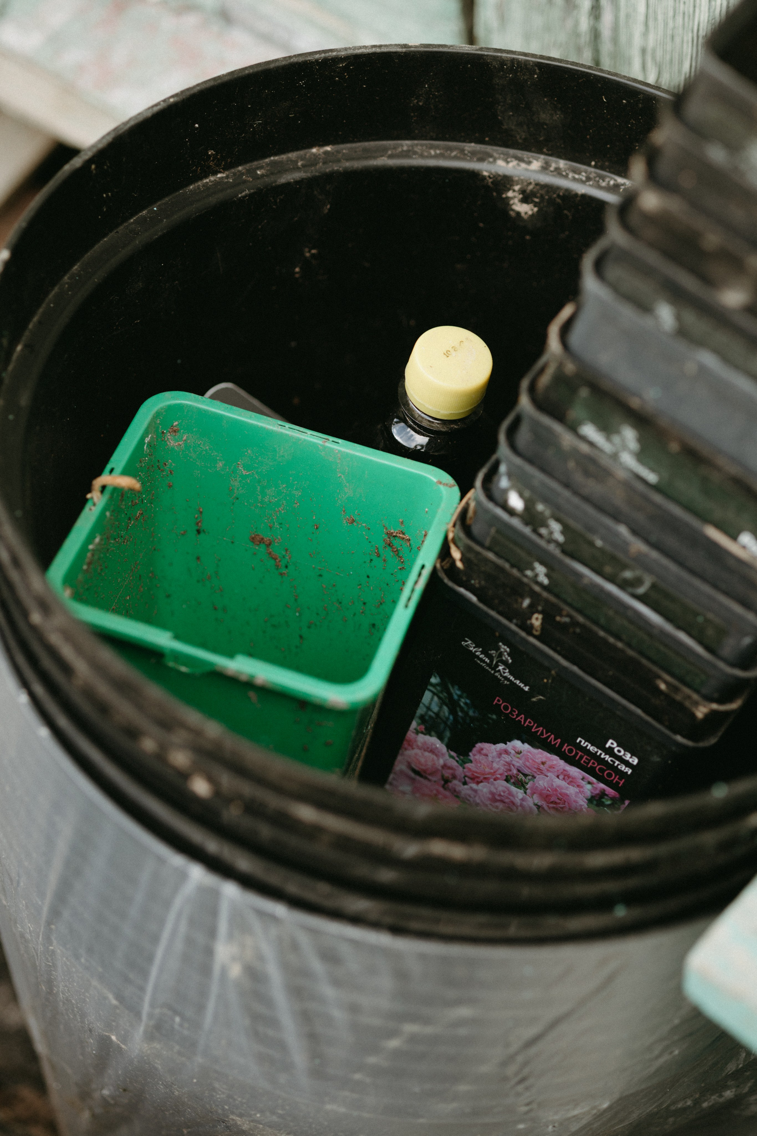 Дача. Про любовь