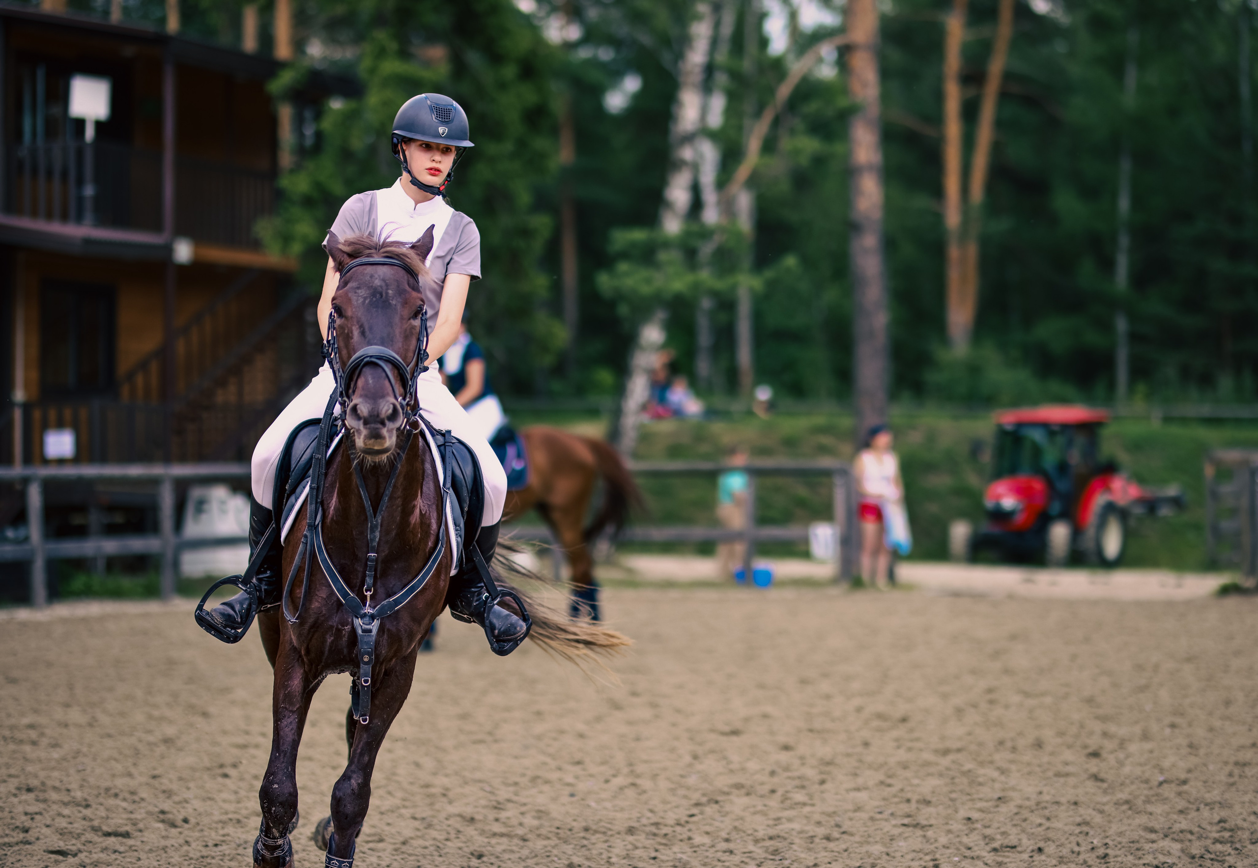 Лошади. Фотограф репортажей и стритфотосессий в Москве Людмила Смирнова