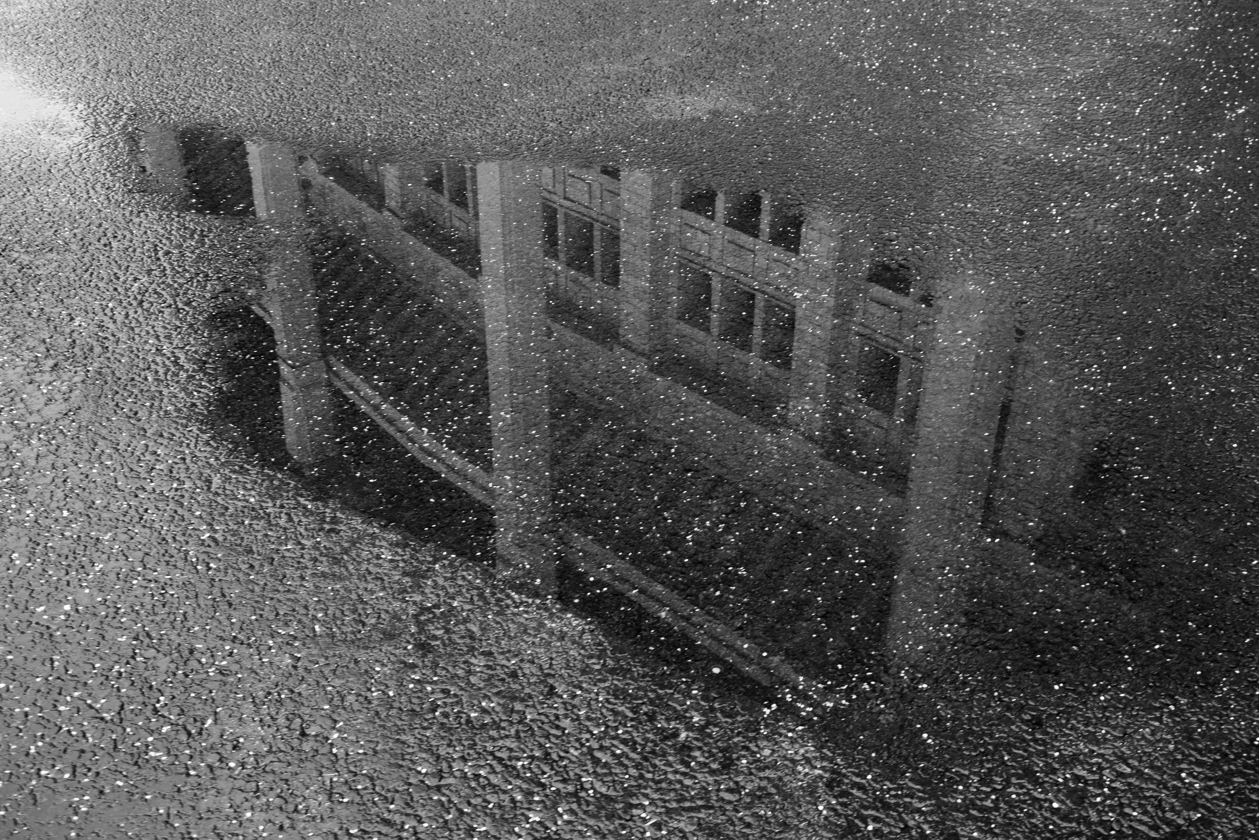 Лужники. Портретный и архитектурный фотограф в Москве и Санкт-Петербурге