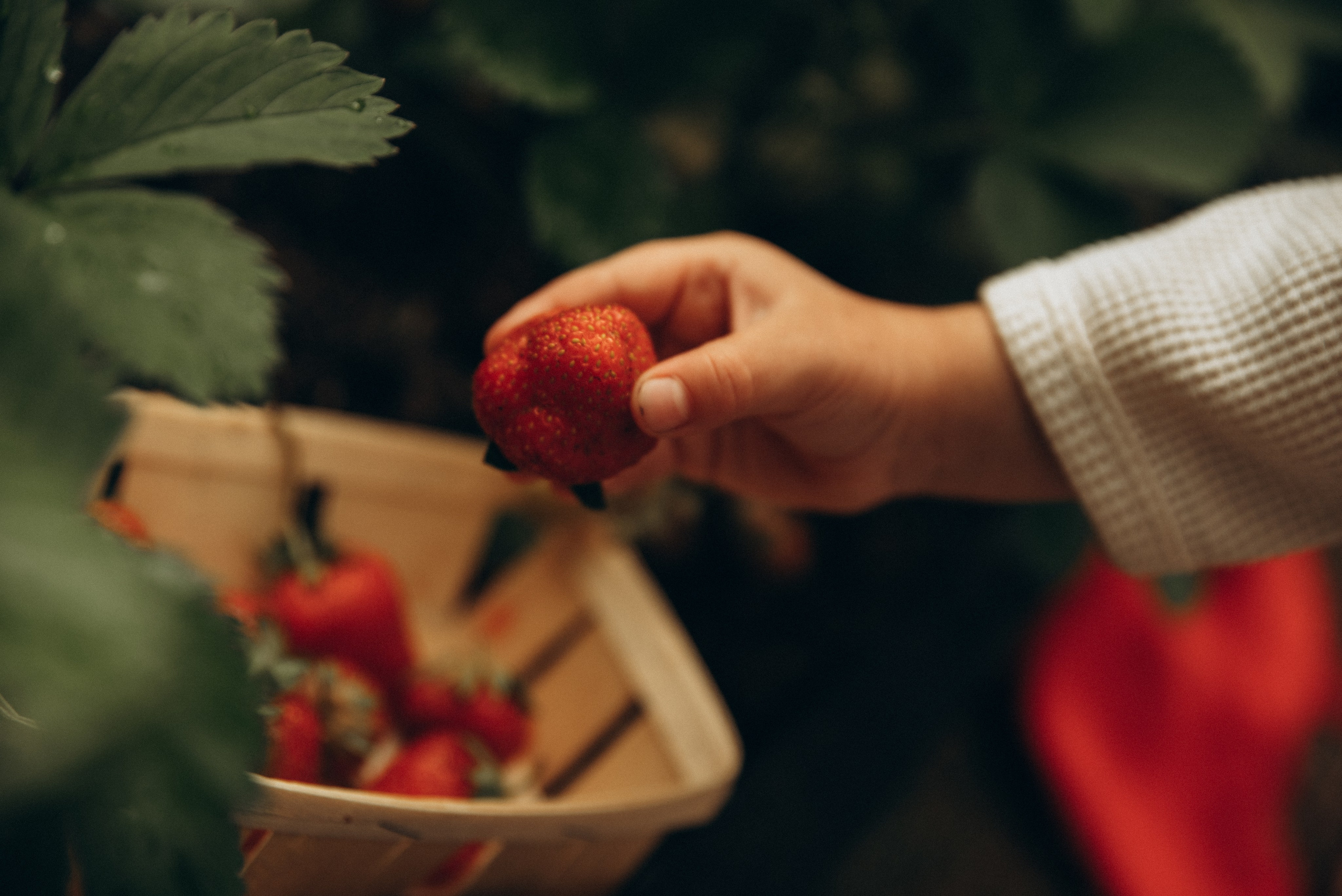 Ангелина и Есения. Семейный фотограф в Москве Дарья Пузикова