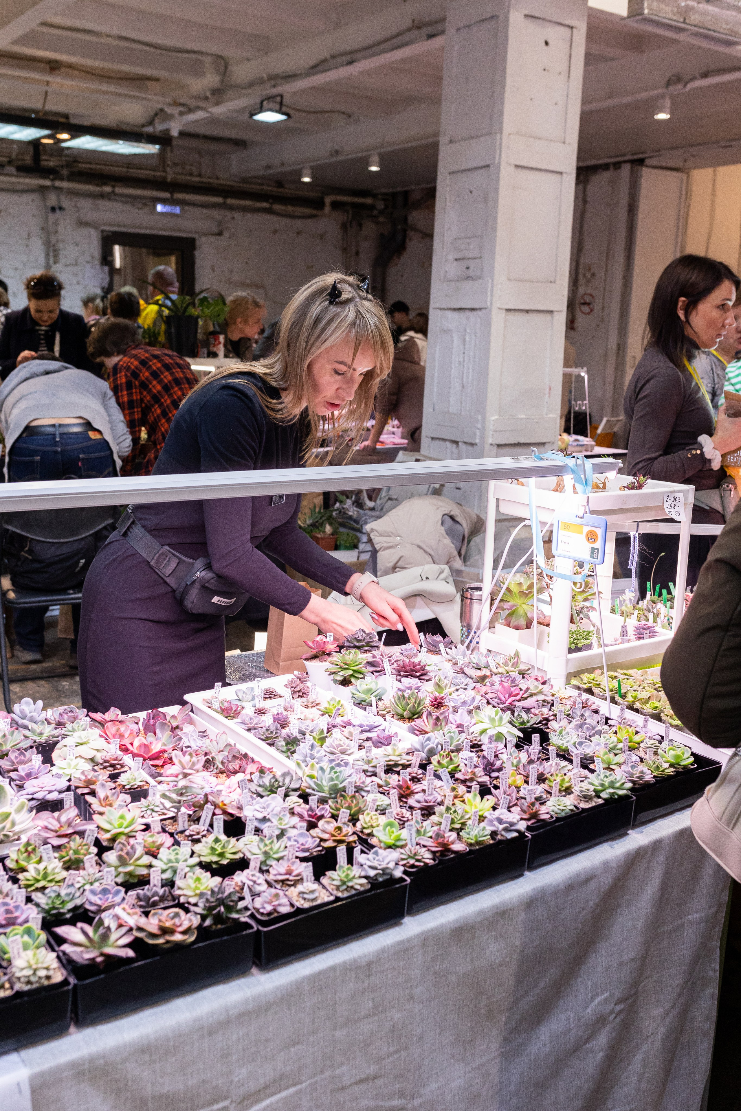 Meza market 2024. Александра Куликова фотограф, Москва