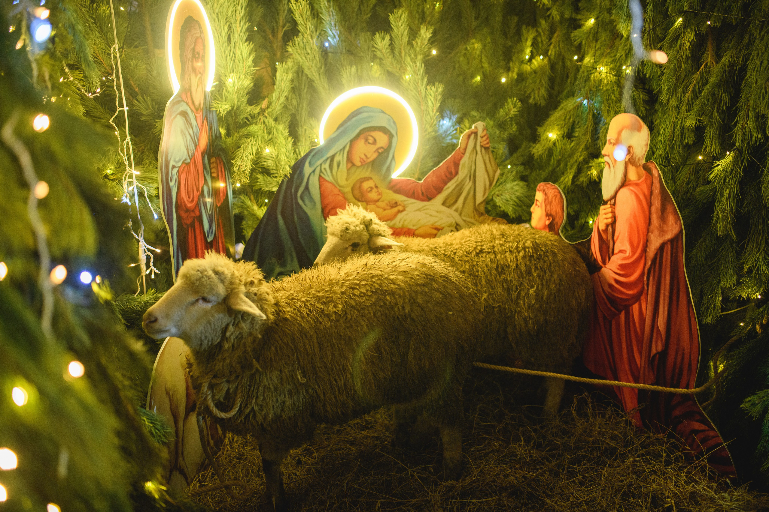 Рождество Христово 7.01.2024. Семейный и свадебный фотограф в Феодосии и Коктебеле